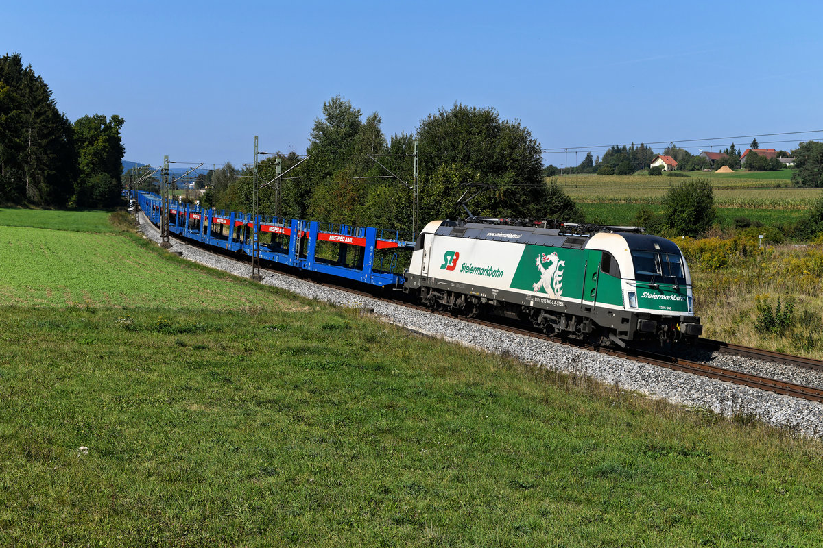Am 15. September 2020 brachte die 1216.960 der Steiermarkbahn den leeren Autotransportzug DGS 41989 von Bremerhaven nach Graz. Gebildet war die Leistung aus den neuen blauen Waggons der Milsped Gruppe. Das Bild entstand bei Sinngrün in der Oberpfalz.
