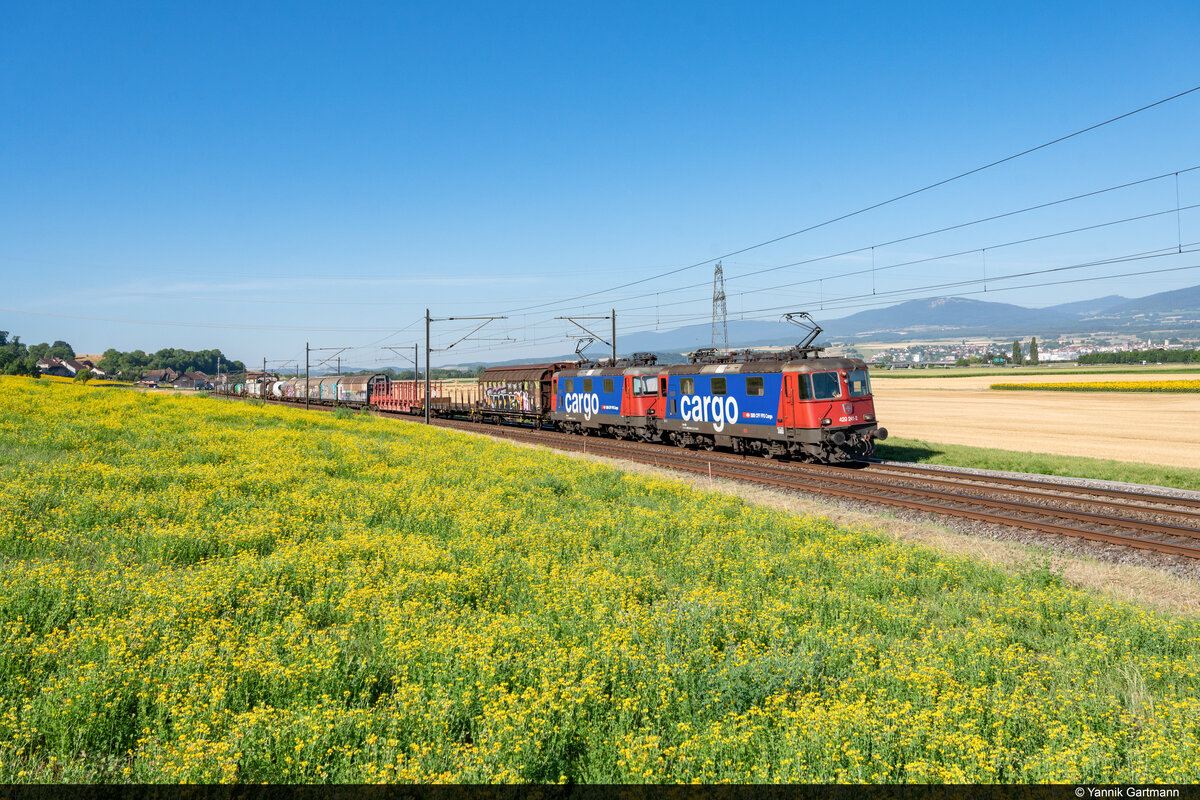 Am 15.07.2022 sind SBB Cargo Re 420 241 und Re 420 253 unterwegs von Lausanne Triage nach Basel RB und konnten hier bei Essert-Pittet aufgenommen werden