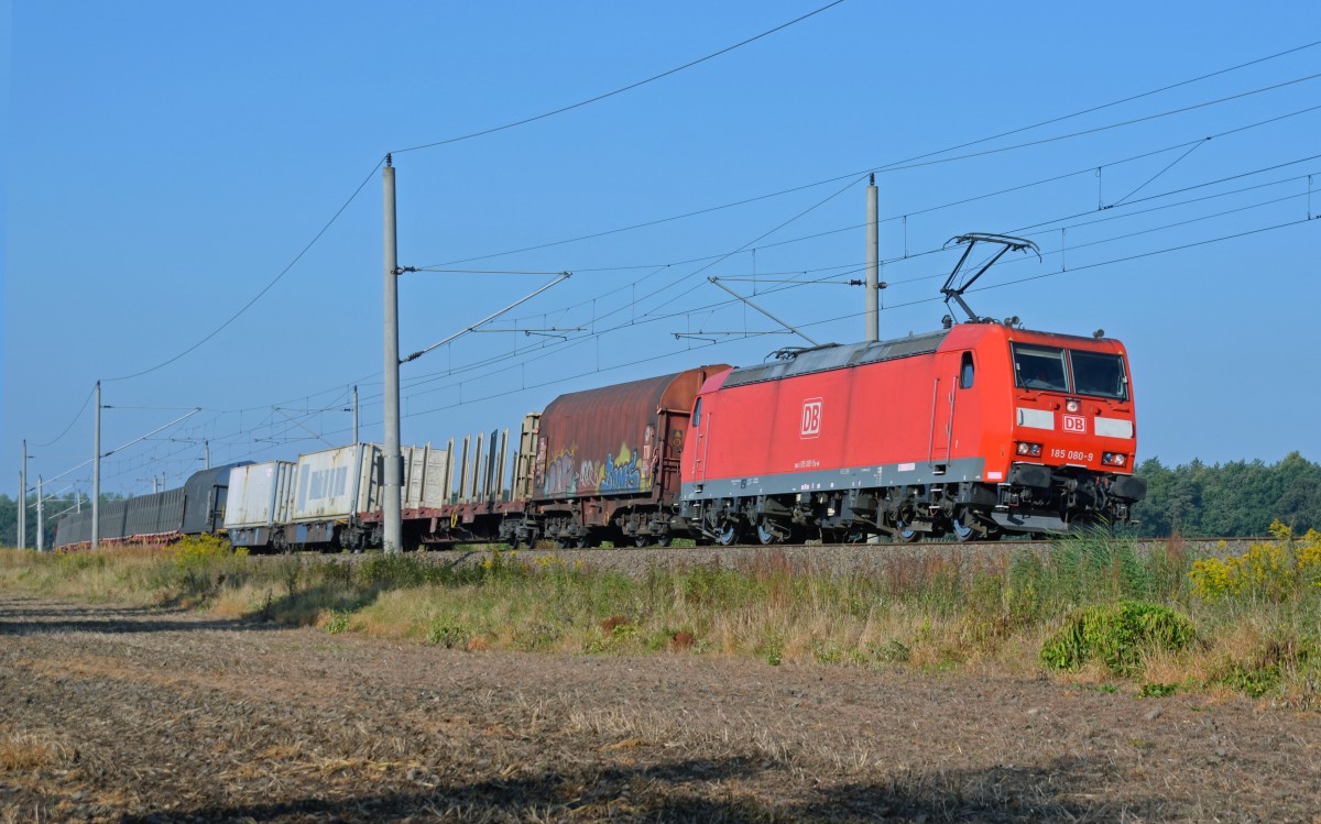 Am 15.09.13 rollte 185 080 mit einem gemischten Gterzug durch Burgkemnitz Richtung Wittenberg.