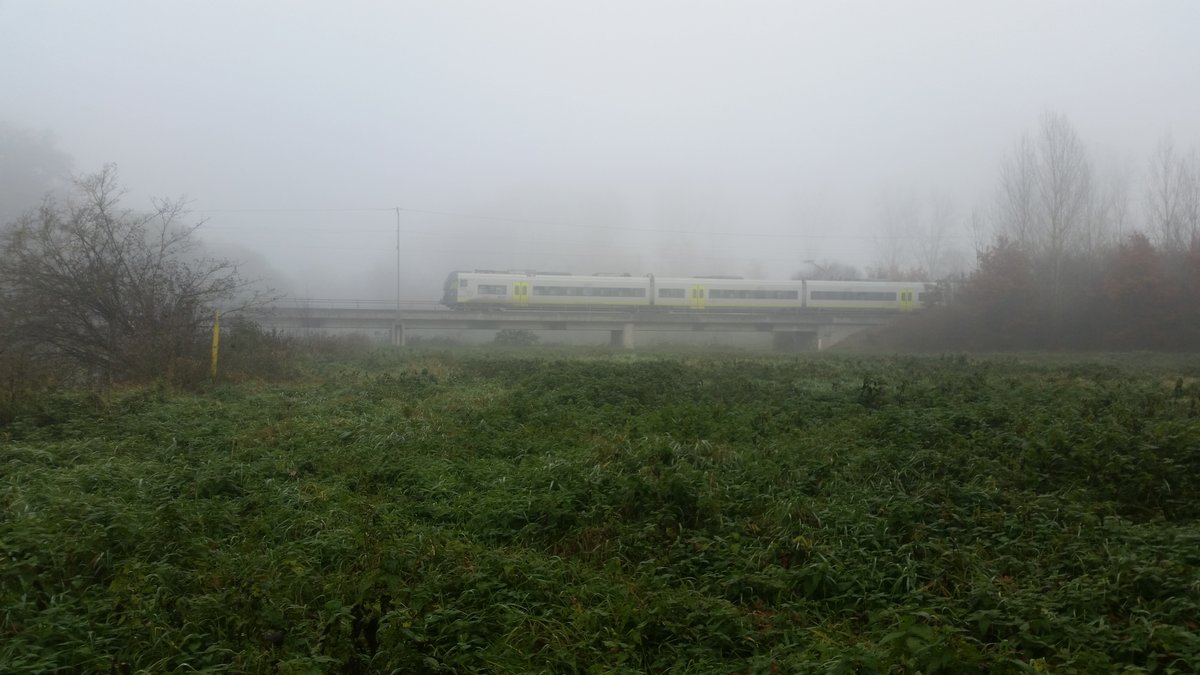 Am 15.11.2020 gegen 10:49 Uhr fuhr eine Baureihe 440 der Agilis über die Paarbrücke Nähe Manching in Richtung Ingolstadt.