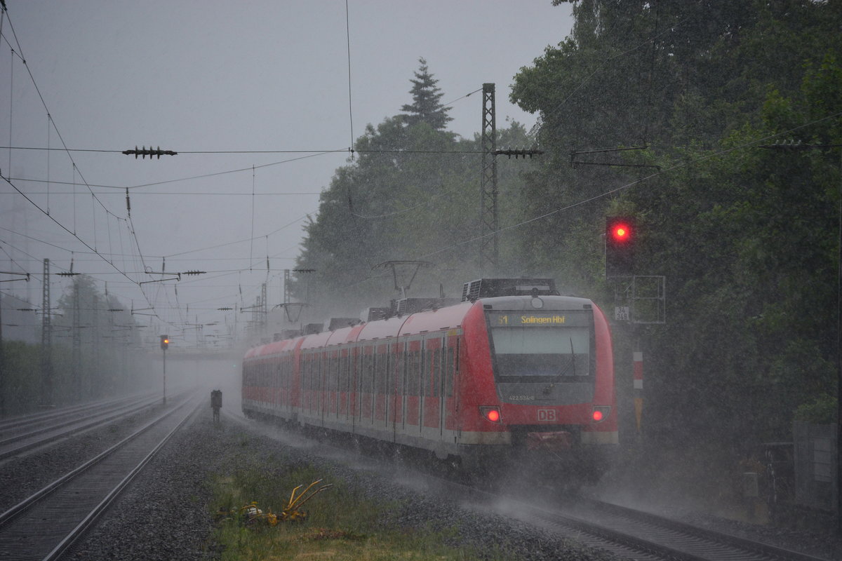 Am 15.6.17 fuhr 422 034 als S1 durch Angermund gen Düsseldorf Flughafen bei einem starken Regenschauer.

Angermund 15.06.2017