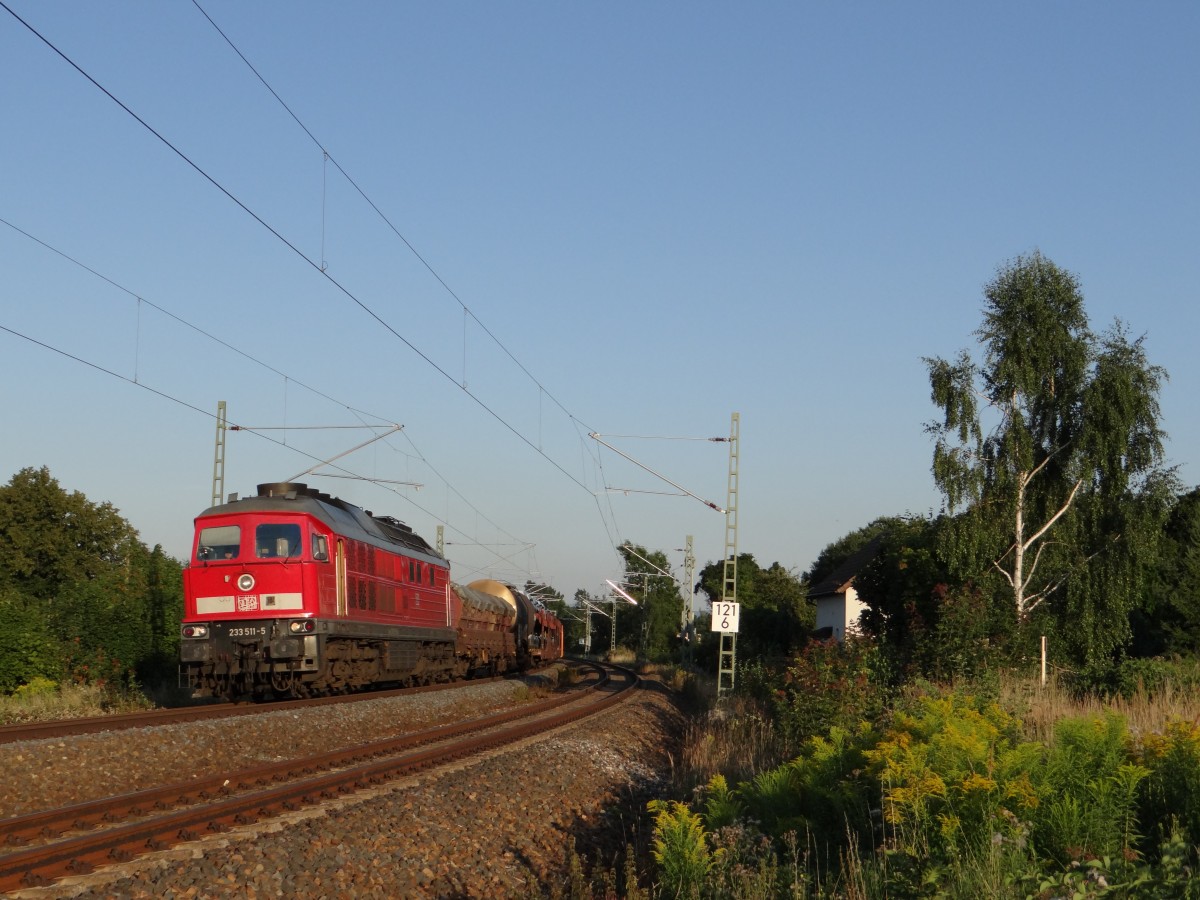 Am 16.08.13 Bespannte 233 511 den 87er hier zusehen in Syrau/V.