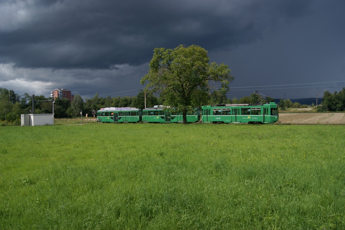 Am 16.08.2014 war ein unbekannter Be4/4 auf der Basler Linie 14 zwischen Muttenz und Pratteln unterwegs, als ein Gewitter aufzog.