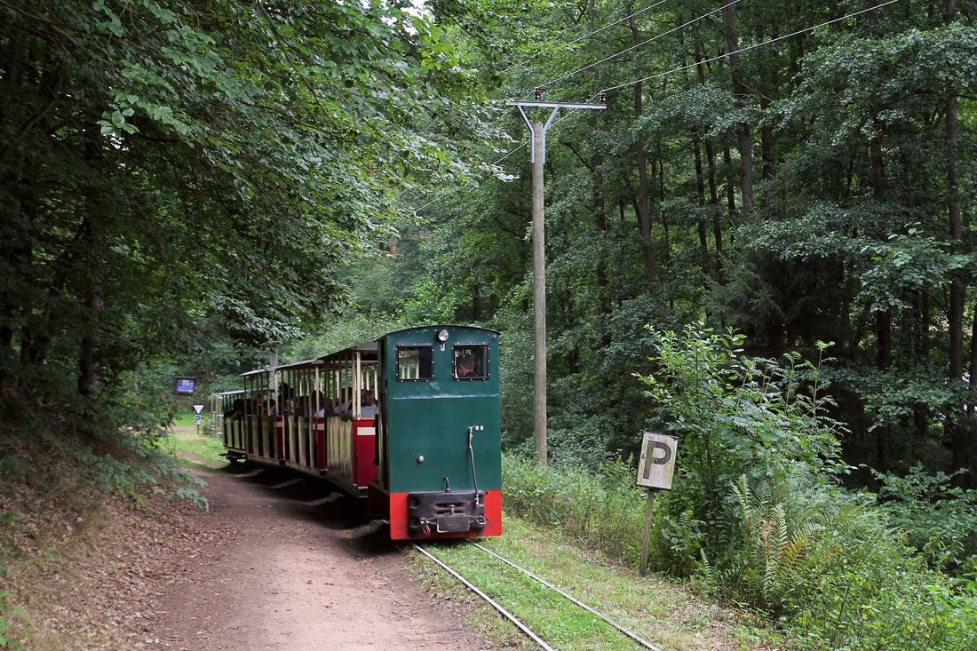 Am 18. August 2013 besuchte ich die symphatische Stumpfwaldbahn.
Die 3,5 km lange Strecke befindet sich in der pfälzischen Gemeinde Ramsen.
Die Strecke selber als auch die Freundlichkeit der Vereinsmitglieder hat einen sehr positiven Eindruck hinterlassen.
Einen Besuch kann ich wärmstens empfehlen.
Leider habe ich mir damals die Fahrzeugnummern nicht notiert.
Falls jemand diese ergänzen könnte, würde es mich sehr freuen.