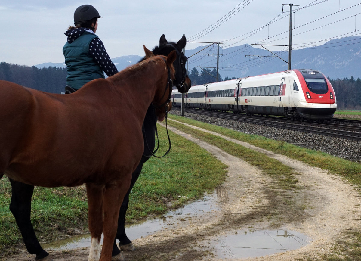 Am 18. Dezember 2019 wurde bei Deitingen ein RABDe 500 ICN mit dem IC 5 auf der Fahrt nach Zürich nebst dem Fotografen auch von den Pferden bewundert.
Foto: Walter Ruetsch