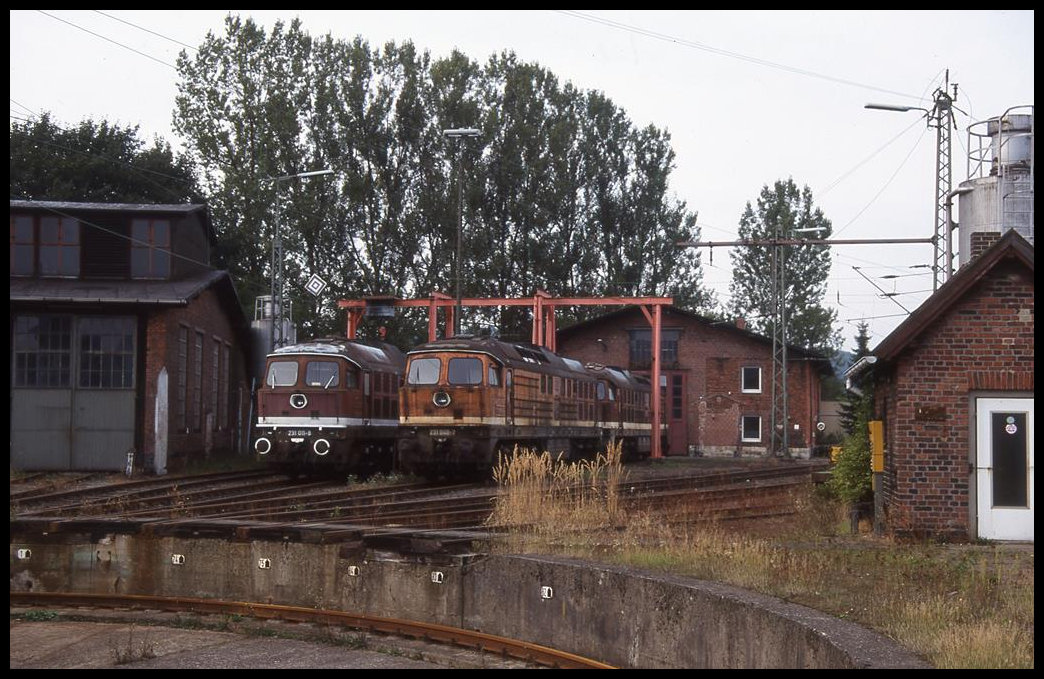 Am 19.09.1999 standen die ehemaligen DR Großlokomotiven 231011 und 231040 im BW Altenbeken.