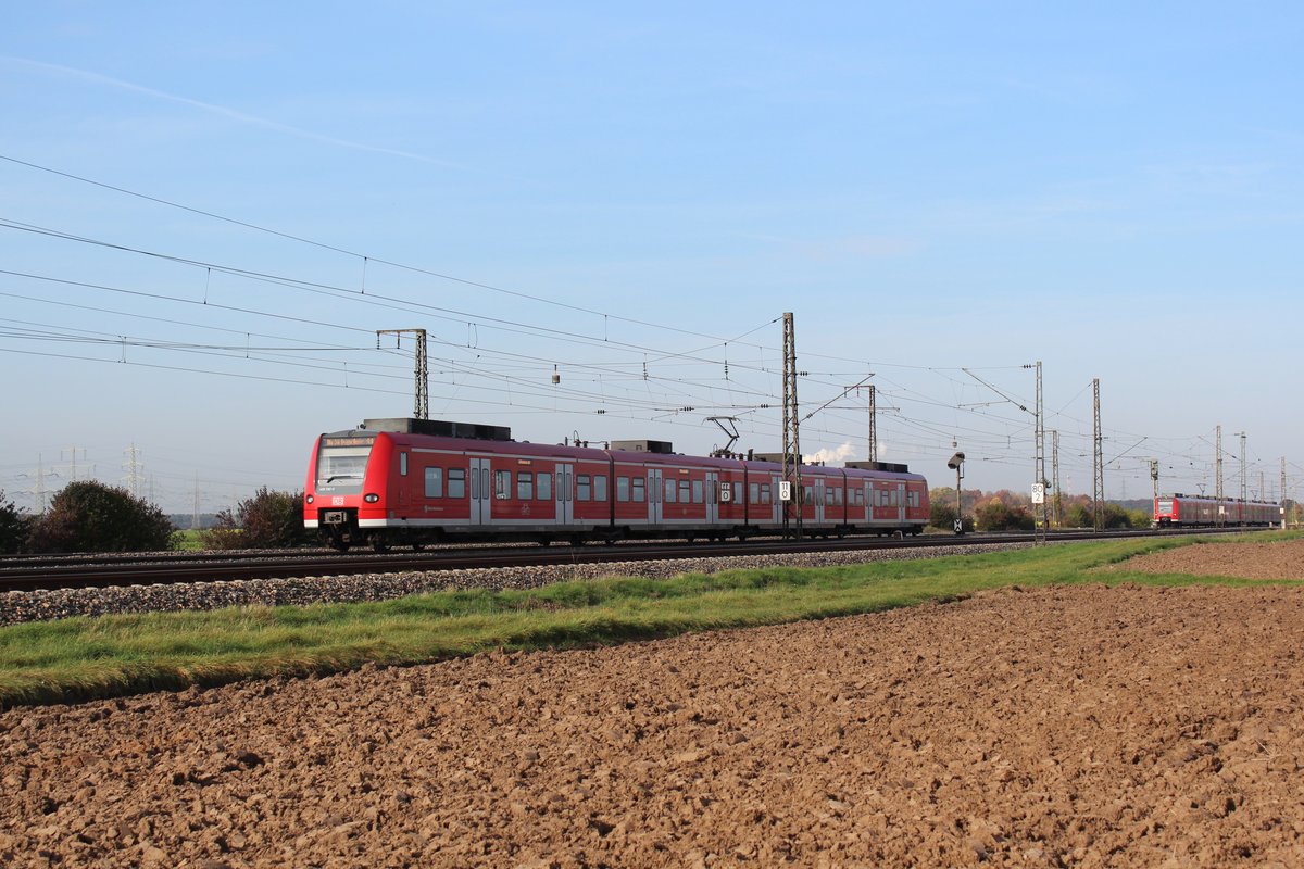 Am 19.10.2017 begegnen sich eine S4 nach Germersheim (links) und eine S1 nach Osterburken (rechts) zwischen Heidelberg und Mannheim.