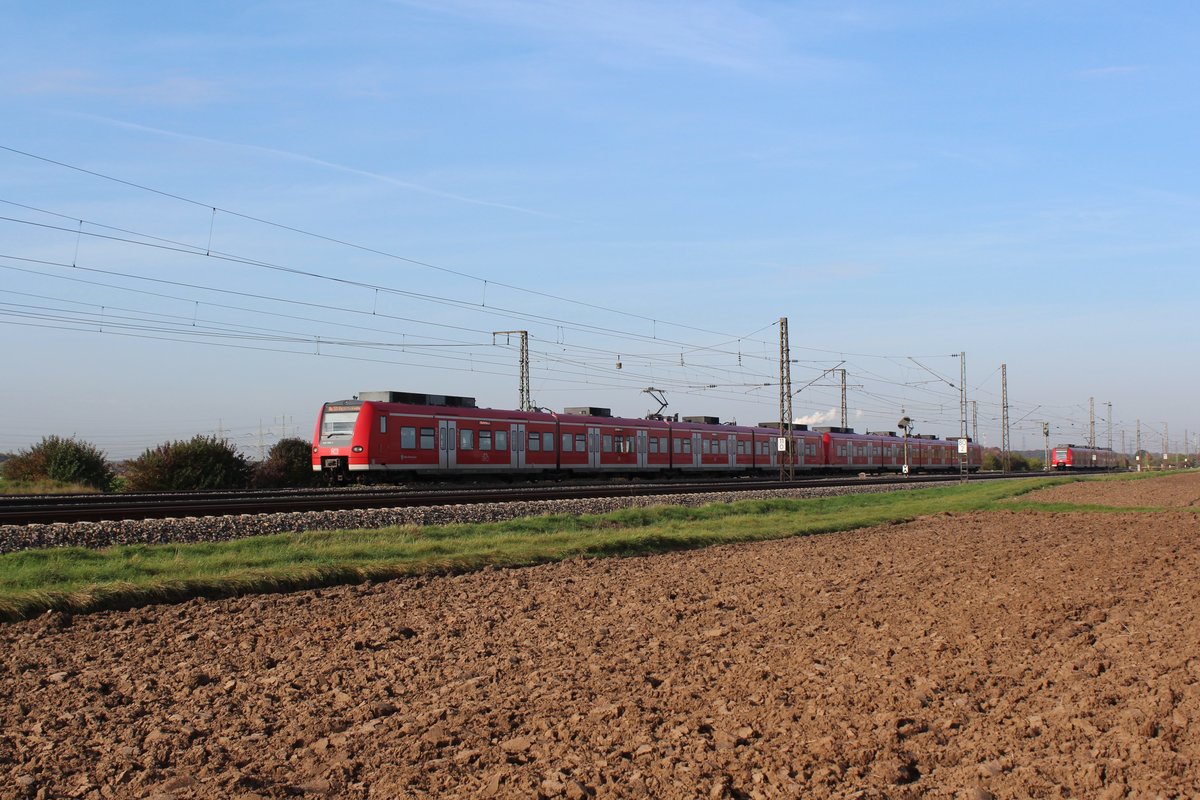 Am 19.10.2017 ist eine S1 nach Osterburken zwischen Mannheim und Heidelberg unterwegs. 