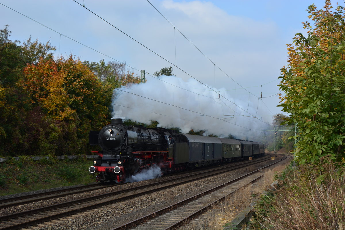 Am 19.10.2018 schnaufte die 01 1075 mit einem Sonderzug der Stoom Stichting Nederland durch Grevenbroich Erftwerk gen Köln und weiter über die Rheinstrecke weiter nach Koblenz und dem Ziel Mainz.

Grevenbroich Erftwerk 19.10.2018