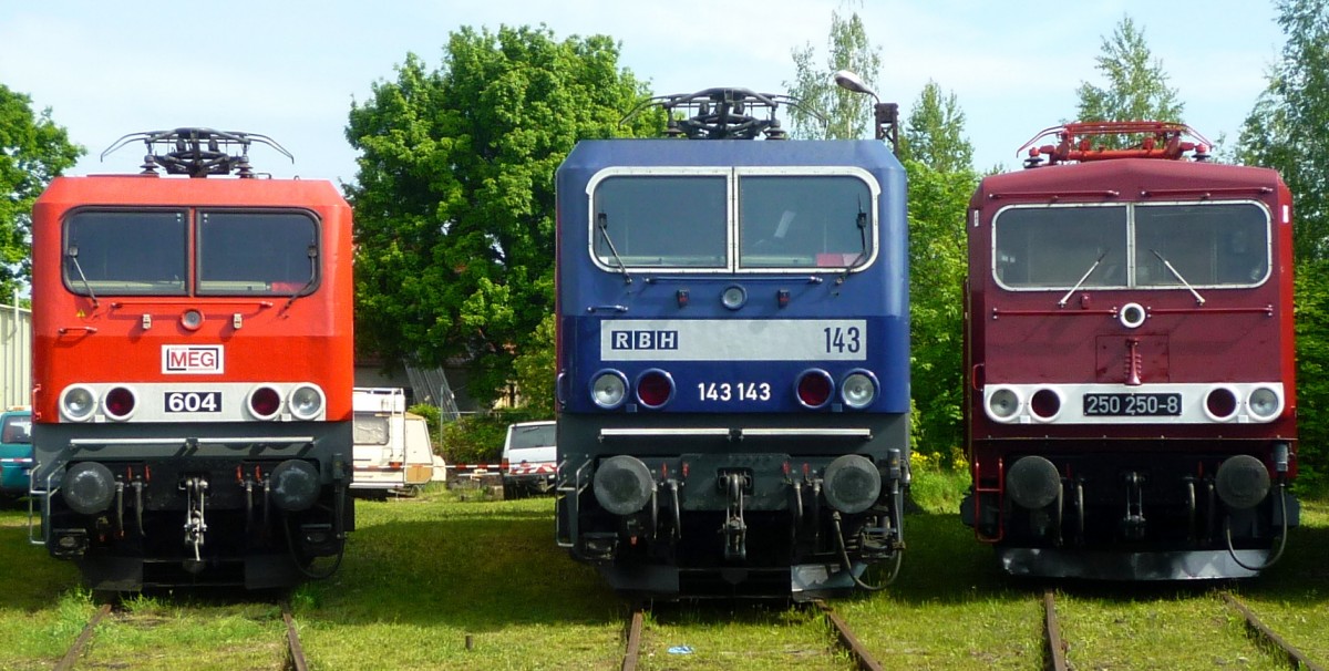 Am 19.5.12 waren zum 30 jährigen Jubiläum der Baureihe 143 auch noch weitere Lok zur Ausstellung nach Weimar eingeladen. So kamen noch die 143 143 alias RBH 143, die MEG604 alias 143 257 und die 250 250, welche schon länger dem TEV Weimar gehört. 

