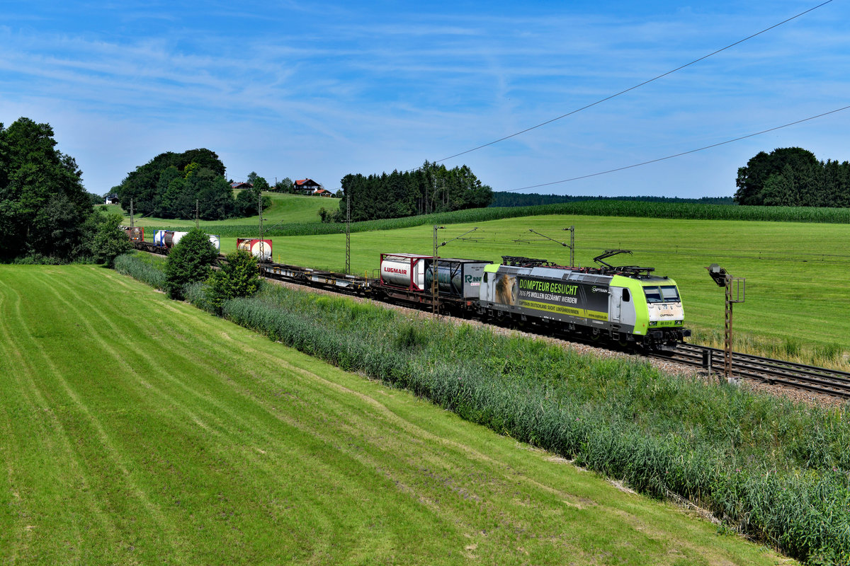 Am 20. Juli 2019 beförderte die 185 532 von Captrain den DGS 42921 von Neuss nach Wels, der an diesem Tage aufgrund einer baustellenbedingten Sperre der Passauerbahn bei Wernstein den Weg über die KBS 951 nehmen musste. Bei Niederstraß konnte ich den leider nur mäßig ausgelasteten KLV-Zug dokumentieren. Mit der auffälligen Seitenwerbung  Dompteur gesucht  möchte man das Interesse potentieller Bewerber für den Dienst im Führerstand erwecken. 