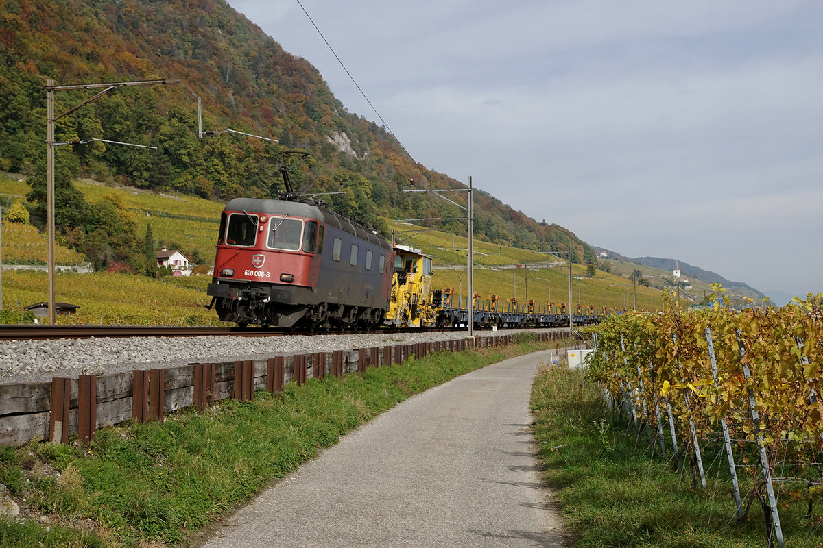 Am 20. Oktober 2020 schlängelte sich die Re 620 008-3  Wetzikon  mit ihrem langen Güterzug  bei Schafis am Bielersee entlang eines Weinguts bei herbstlicher Stimmung in Richtung Westschweiz.
Foto: Walter Ruetsch
 