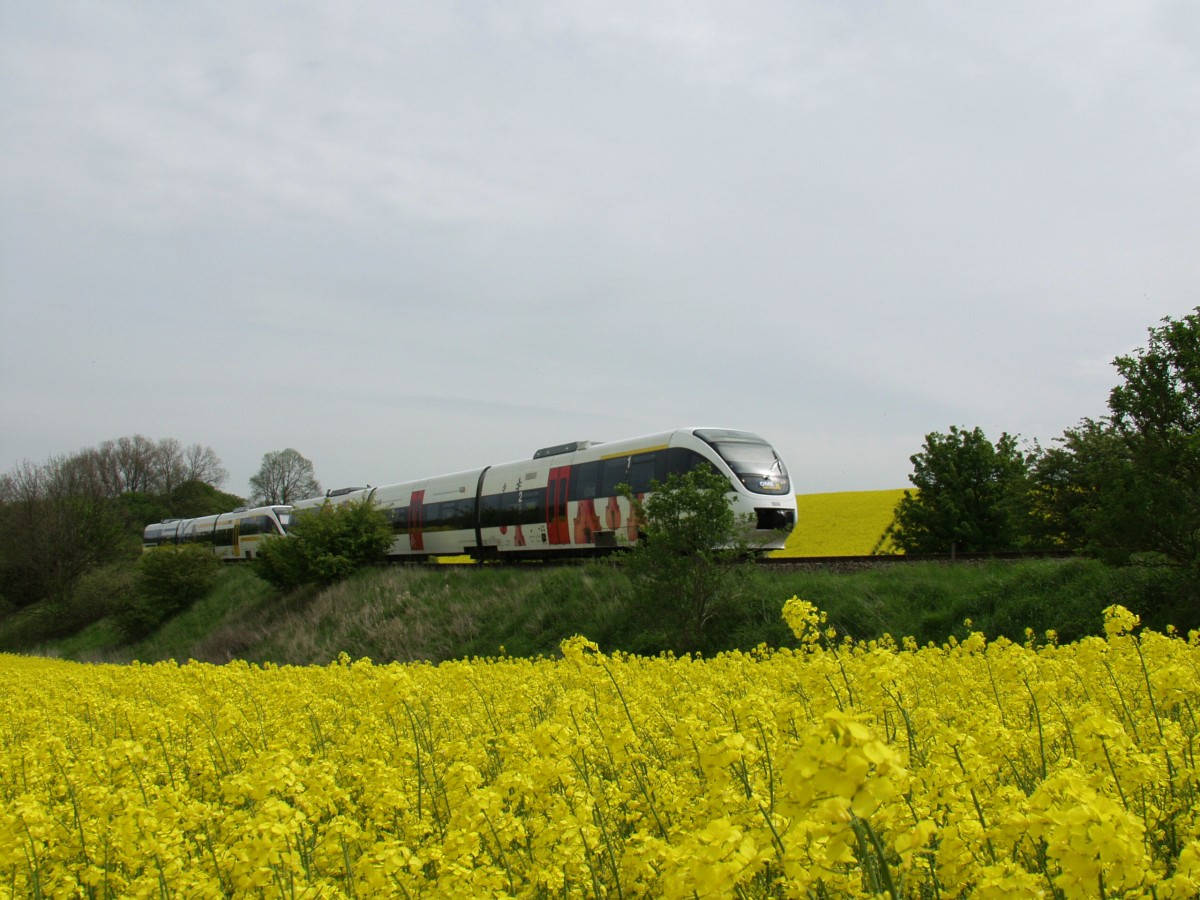 Am 20.05.2005 Zug 0008 kurz vor dem Bf Teterow mit einem Zug zur Verstrkung des Interconnex am Haken.