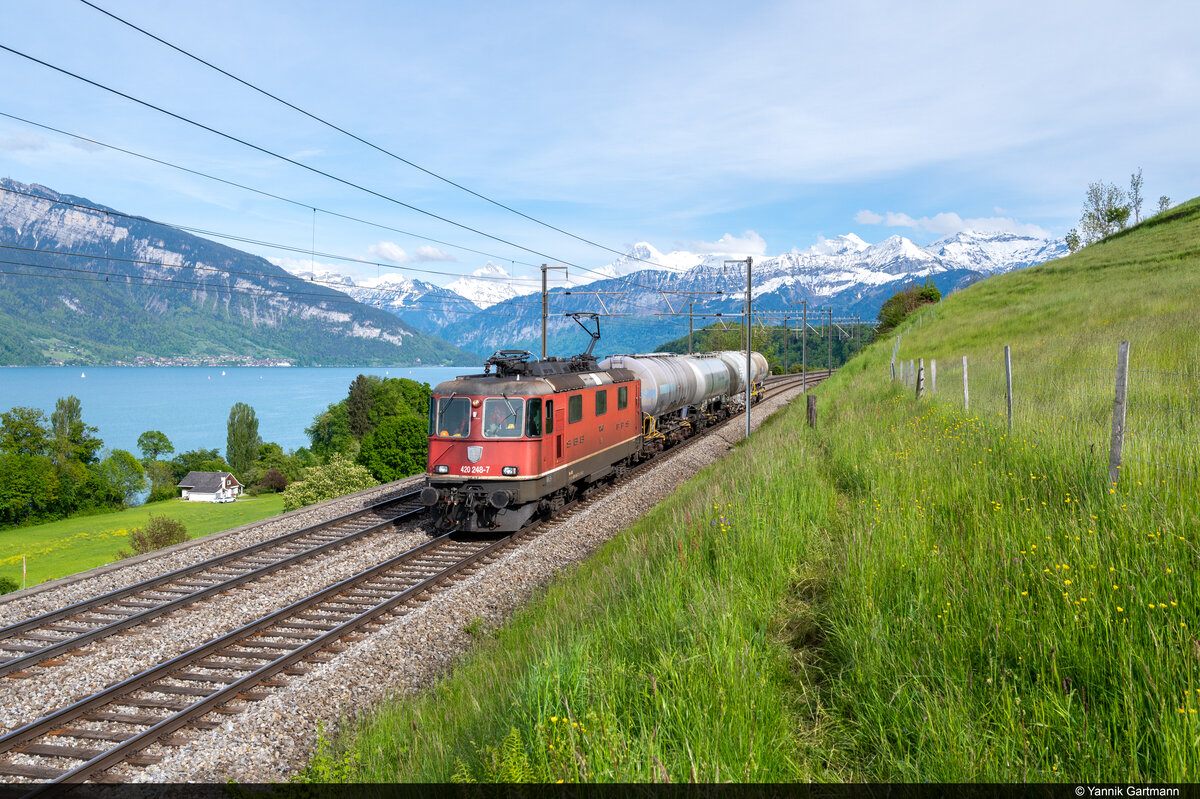 Am 20.05.2021 ist SBB Cargo Re 420 248-7 unterwegs mit einem lokalen Güterzug von Heustrich nach Thun GB und konnte hier bei Einigen aufgenommen werden.