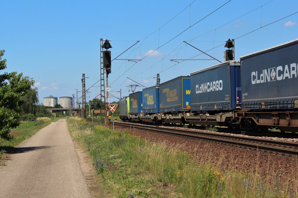 Am 20.06.2018 ist eine BLS 486 mit einem KLV Zug bei Waghäusel in Richtung Norden unterwegs.