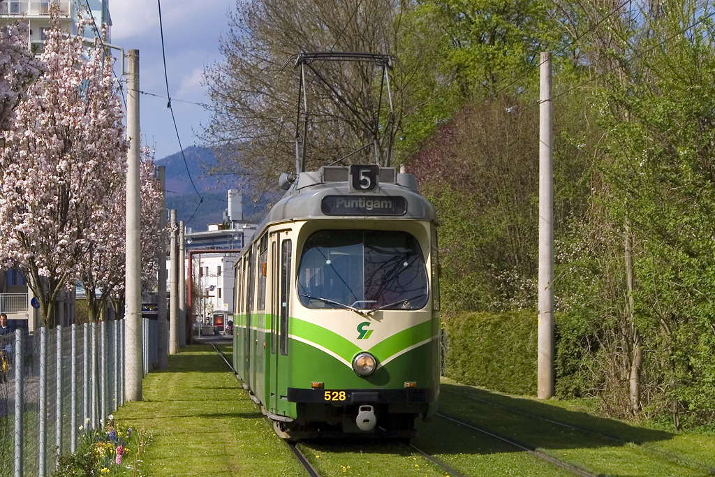 Am 21. April 2010 war TW 528 auf der Linie 5 unterwegs, aufgenommen bei der Grazer Straße. 