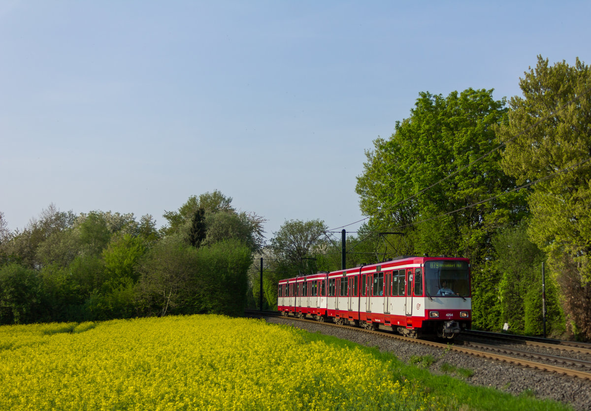 Am 21. April 2018 fahren die beiden B-Wagen 4254 und 4242 bei schönsten Frühlingsfarben in die Haltestelle Froschenteich ein.