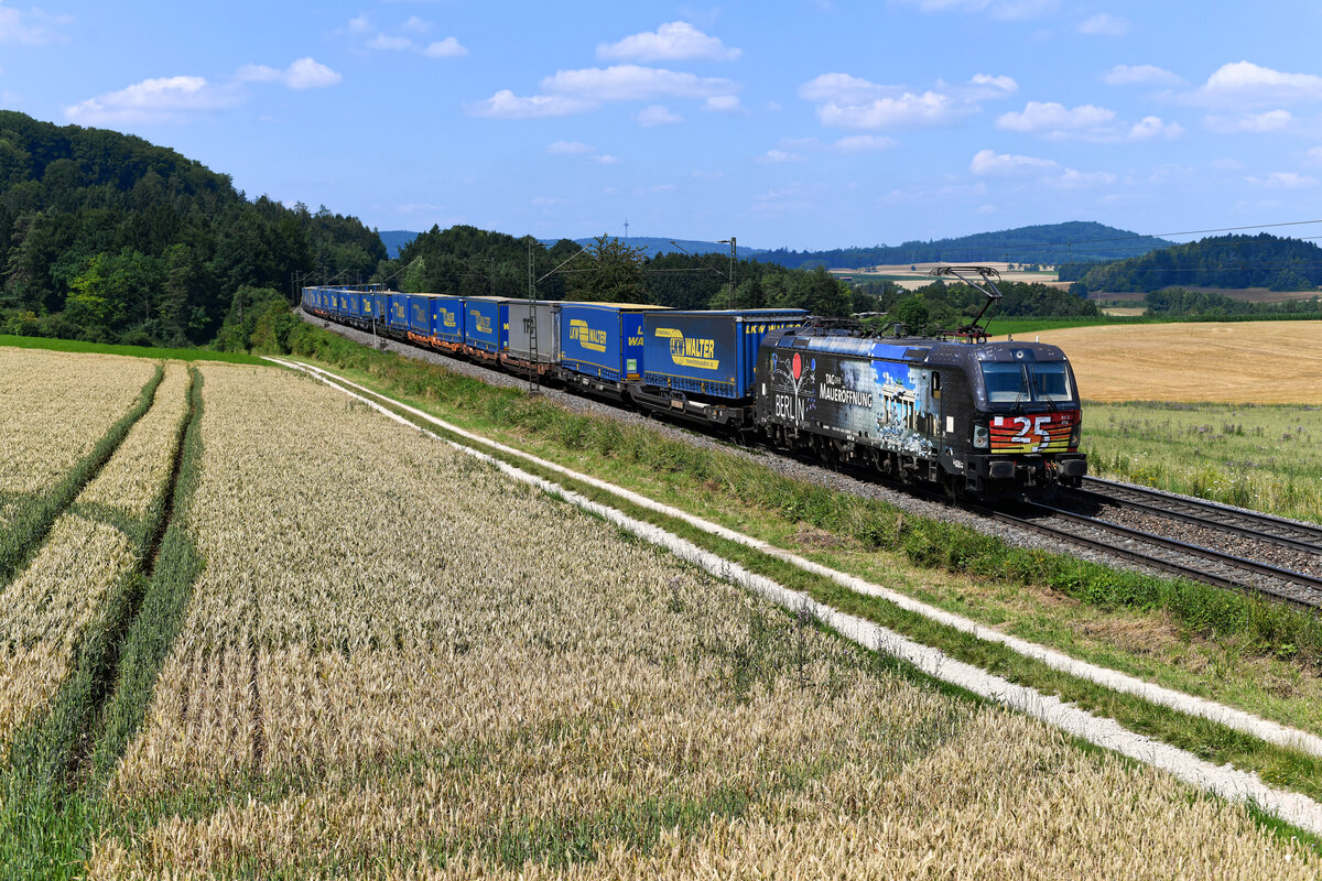 Am 21. Juli 2021 bespannte die 193 876 - besser bekannt als  Mauerfall-Vectron  - den KLV-Zug DGS 41161 von Wanne-Eickel nach Budapest Soroksar Terminal. Die Lok war zu diesem Zeitpunkt für wenige Tage von MRCE an TXLogisitk vermietet worden. Kurz vor Parsberg in der Oberpfalz konnte ich die Leistung aufnehmen. 
