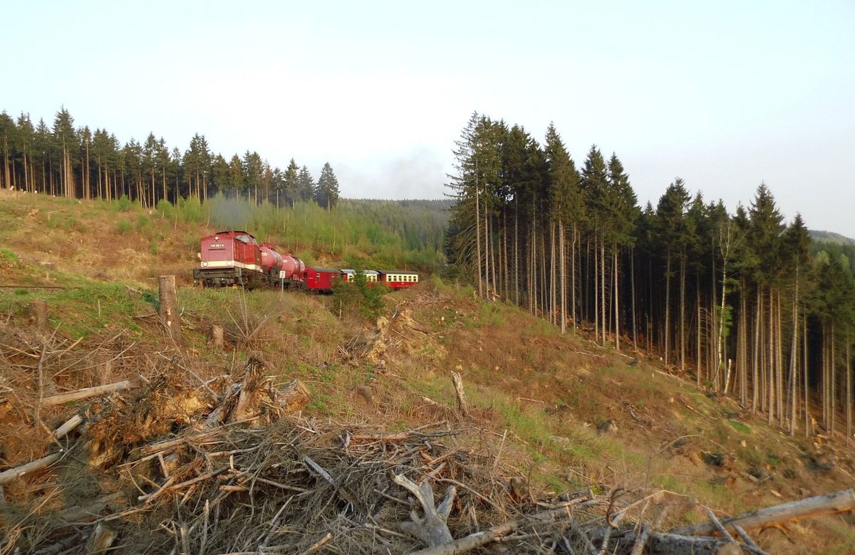 Am 21.04.2018 brummt unsere Fuhre nach der Brandkurve für die Fotografen nochmal an der Windbruchstelle vorbei,lag sie ja sozusagen  am Weg ,im Morgenlicht(etwa 07:30) ein schönes Motiv.