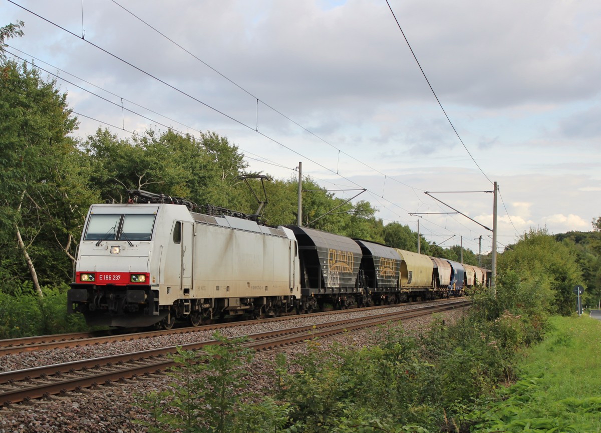 Am 21.September 2013 war LTE E186 237 mit Silowagen bei Marienborn auf dem Weg Richtung Westen.