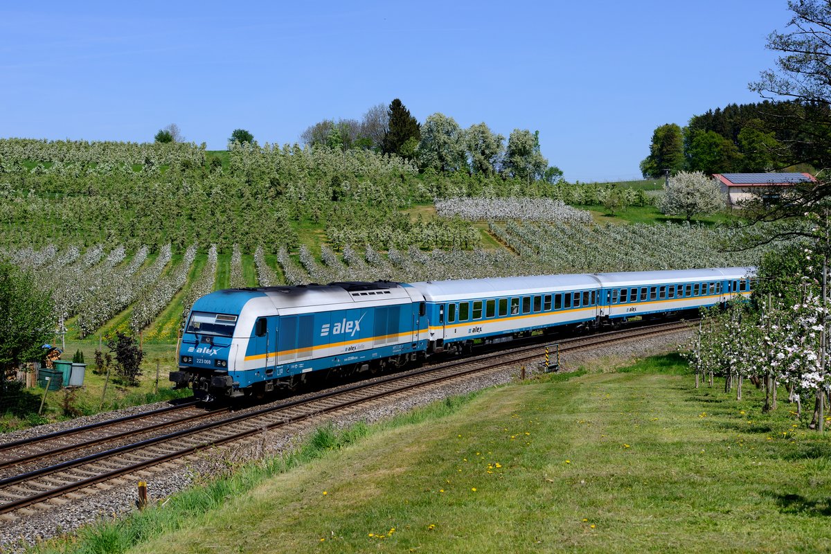 Am 22. April 2018 standen die Apfelplantagen rund um Lindau in voller Blütenpracht. Die 223 068 mit ihrem ALX 84136 hat auf diesem Bild nur noch wenige Augenblicke Fahrt vor sich, bis sie den Zielbahnhof Lindau erreicht hat. Auch die Zeit der Alex-Züge im Allgäu ist endlich. Ab 2020 übernimmt DB Regio die Zugleistungen.  
