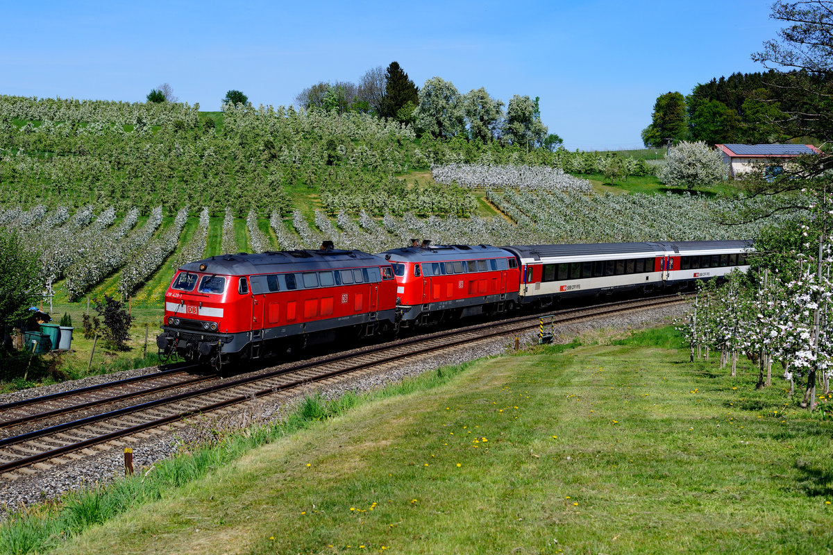 Am 22. April 2018 standen die Apfelplantagen rund um Lindau in voller Blütenpracht. 218 428 und 430 haben nur noch wenige Kilometer zurückzulegen, bis sie den Inselbahnhof erreichen. Ihr EC 194 wird dann von einer SBB-Lok nach Zürich HB weiterbefördert. 