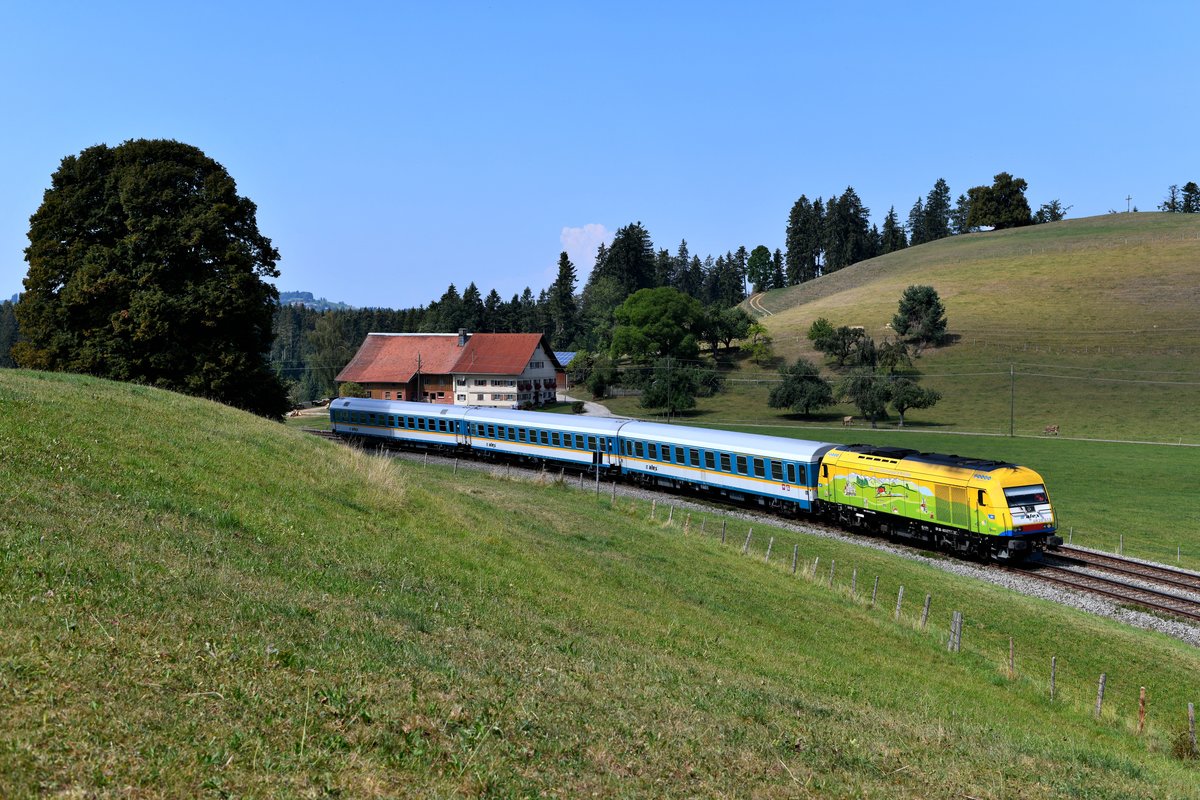 Am 22. August 2018 beförderte die ER 20 - 013 den ALX 84139 von Lindau nach München HBF. Bei Heimhofen konnte ich die für den neuen Bodensee-Oberschwaben Verkehrsverbund werbende Lok mit ihrem genau ins Motiv passenden Drei-Wagen-Zug ablichten. Auch hier wird nochmal deutlich, wie trocken der Sommer 2018 war. 