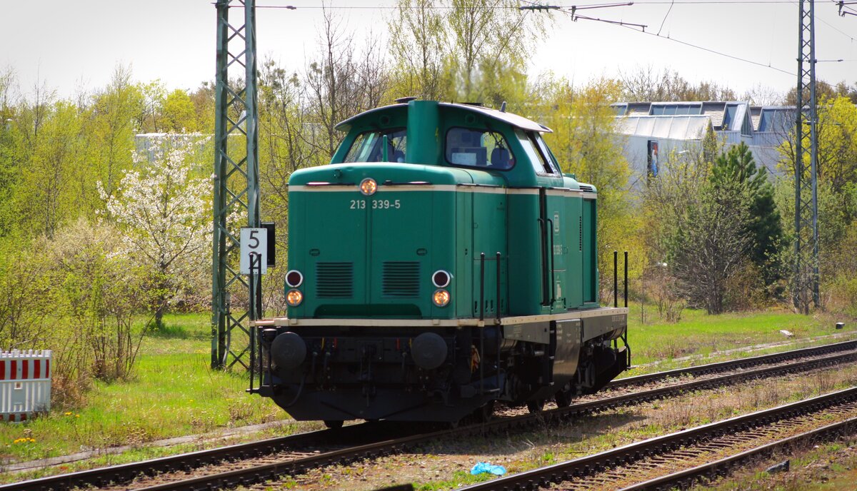 Am 22.04.2023 fuhr die 213 339-5 durch M-Moosach Richtung München-Nord.