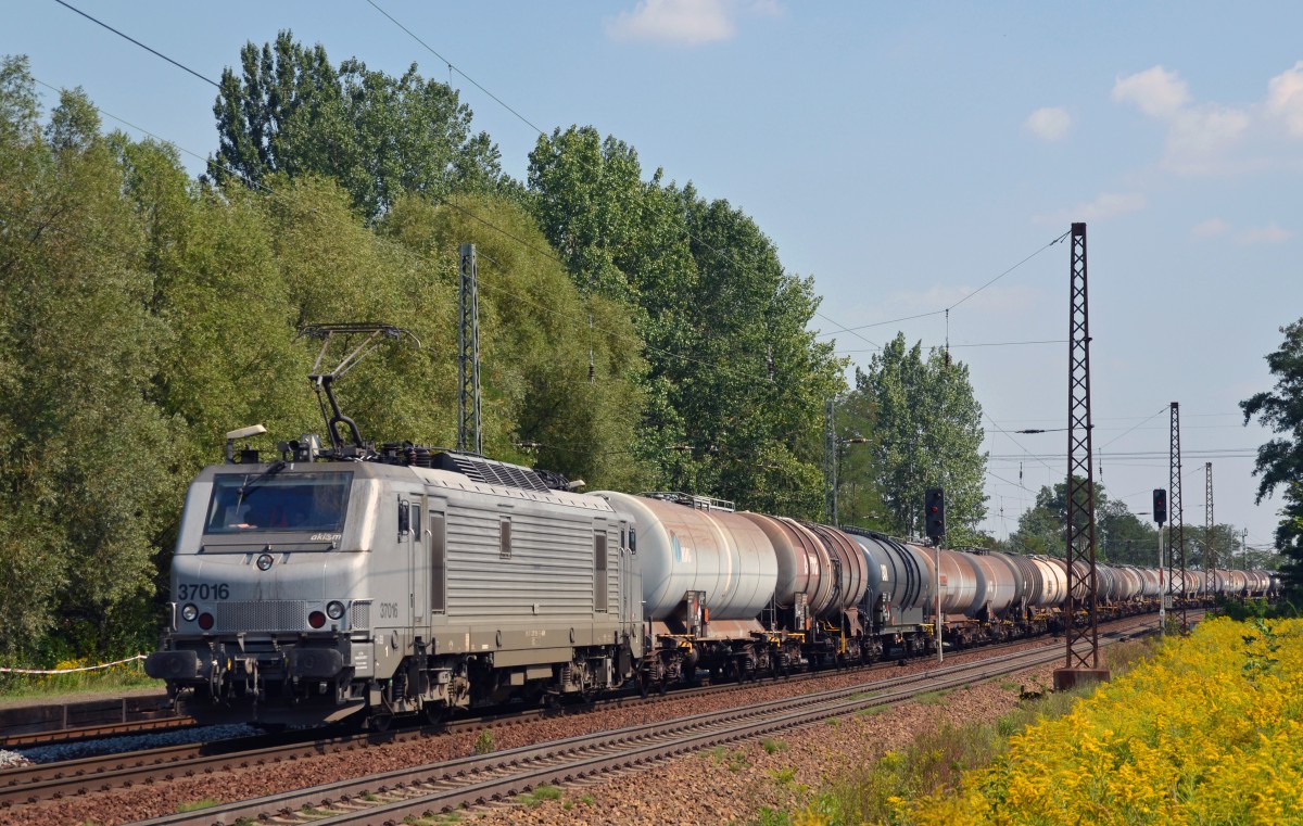 Am 22.08.15 führte 37016 im Auftrag der CTL einen Kesselwagenzug durch Leipzig-Thekla Richtung Mockau.