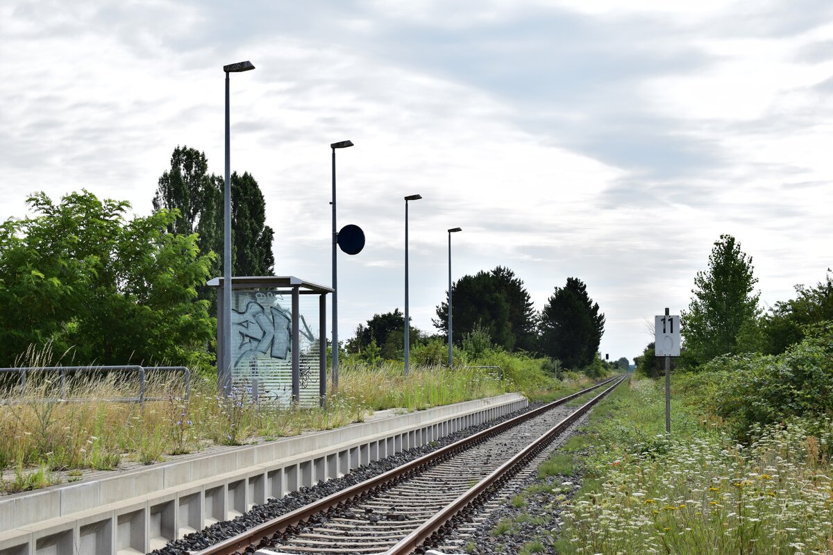 Am 23.7.20 stand die Bahnstrecke Biederitz - Altengrabow auf dem Programm. Besonders auffällig an der Strecke ist das alle Haltepunkte und Bahnhöfe bis Loburg Barrierefrei mit 55cm Bahnsteigen ausgebaut und modernisiert sind was für eine Strecke ohne Personenverkehr ziemlich unüblich ist. 2003 wurde die Strecke samt Bahnsteige bis Loburg modernisiert. 2011 wurde der Personenverkehr wegen Oberbaumängeln und der daraus resultierenden bedeutend längeren Fahrzeit auf einen dauerhaften Busnotverkehr umgestellt. Seit 2015 betreibt die RegioInfra die Strecke welche noch gelegentlich für Bundeswehr Transporte genutzt wird. Blick über den zugewucherten Bahnsteig und das 2019 erneuerte Gleis in Ziepel.

Ziepel 23.07.2020