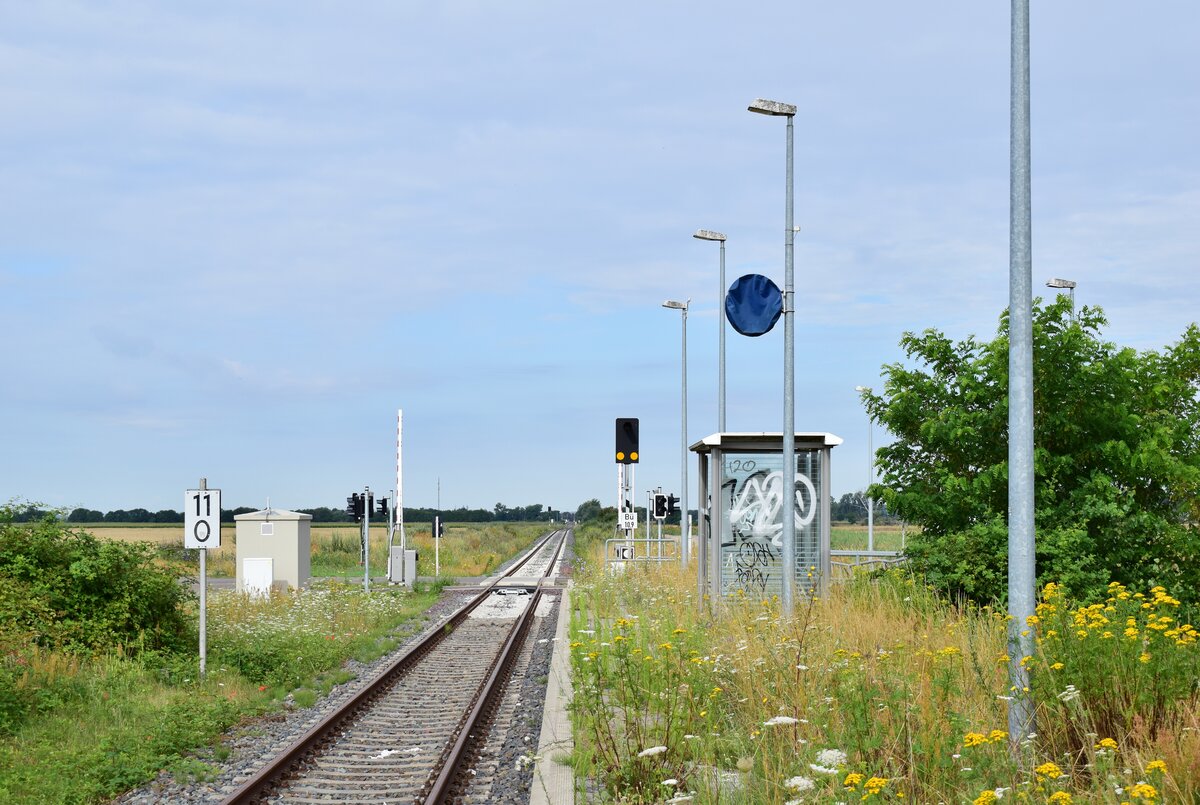 Am 23.7.20 stand die Bahnstrecke Biederitz - Altengrabow auf dem Programm. Besonders auffällig an der Strecke ist das alle Haltepunkte und Bahnhöfe bis Loburg Barrierefrei mit 55cm Bahnsteigen ausgebaut und modernisiert sind was für eine Strecke ohne Personenverkehr ziemlich unüblich ist. 2003 wurde die Strecke samt Bahnsteige bis Loburg modernisiert. 2011 wurde der Personenverkehr wegen Oberbaumängeln und der daraus resultierenden bedeutend längeren Fahrzeit auf einen dauerhaften Busnotverkehr umgestellt. Seit 2015 betreibt die RegioInfra die Strecke welche noch gelegentlich für Bundeswehr Transporte genutzt wird. Blick in Richtung Büden vom alten Bahnsteig in Ziepel.

Ziepel 23.07.2020