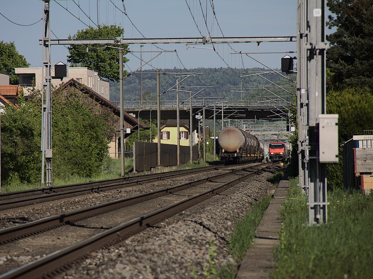 Am 24.04.2026 begegnen sich in Itingen BL ein G�terzug und eine EW IV - Komposition.