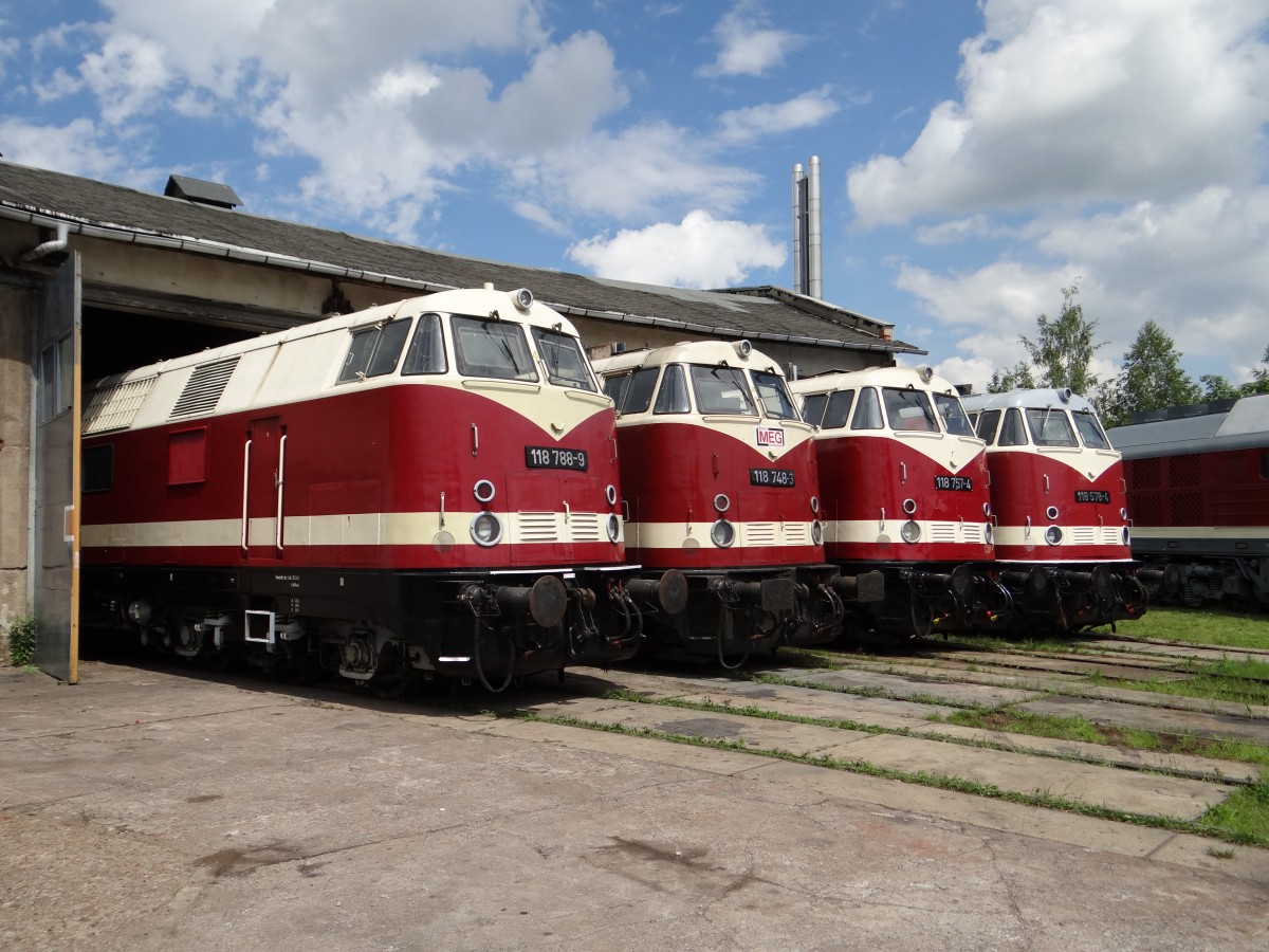 Am 24.05.14 war in Weimar beim TEV 118er Treffen. Zusehen waren 118 778, 118 748, 118 757 und 118 578.