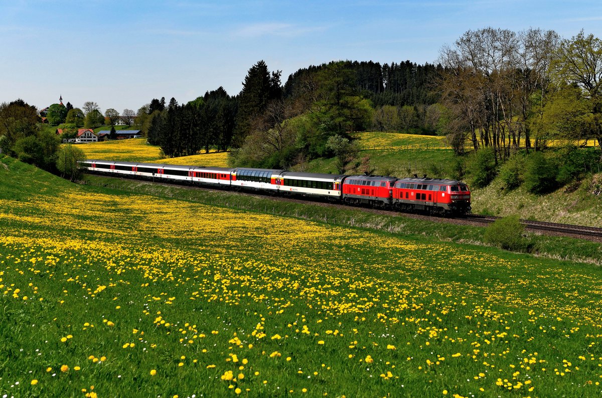 Am 25. April 2018 brachten die Ulmer 218 436 und die Mühldorferin 218 403 den EC 193 von Lindau nach München HBF. Baustellenbedingt verlief die Fahrt über Kempten, was den Reisenden - insbesondere im Panoramawagen - reizvolle Landschafts-Eindrücke bescherte. Bei Aitrang im Ostallgäu eilte der Zug durch blühende Löwenzahnfelder. 