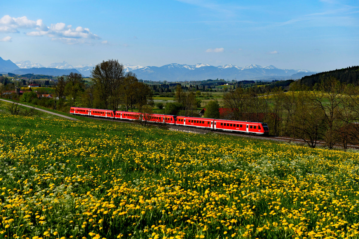 Am 25. April 2018 war die Löwenzahnblüte rund um Ellenberg auf dem Höhepunkt. Für das angedachten Motiv hatte RE 57589 nach München HBF in Form von einer Dreifachtraktion 612-er genau die richtige Länge. 