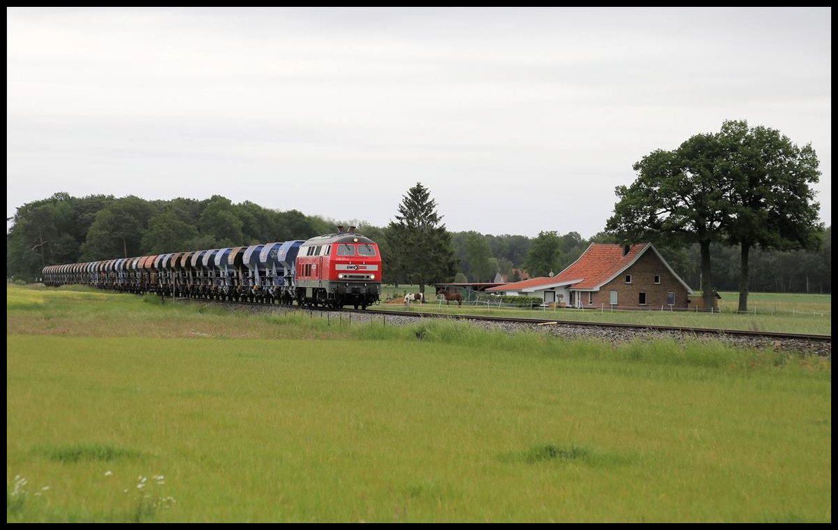 Am 25.05.2020 kam die 218451-3 der LWC mit einem Schotterzug von Gütersloh aus auf die Strecke der Teutoburger Wald Eisenbahn, um dort bei der Restauration der Strecke weiter Schienenbereiche ein zu schottern. Nach der Entladung fuhr der Zug weiter nach Lengerich, um von dort aus über die Rollbahn weiter nach Münster zu fahren. Hier ist der Zug nahe der Kleingemeinde Müschen südlich von Bad Laer unterwegs. Wegen der noch provisorischen Gleislage ging es zumeist nur im Schritt Tempo voran. 