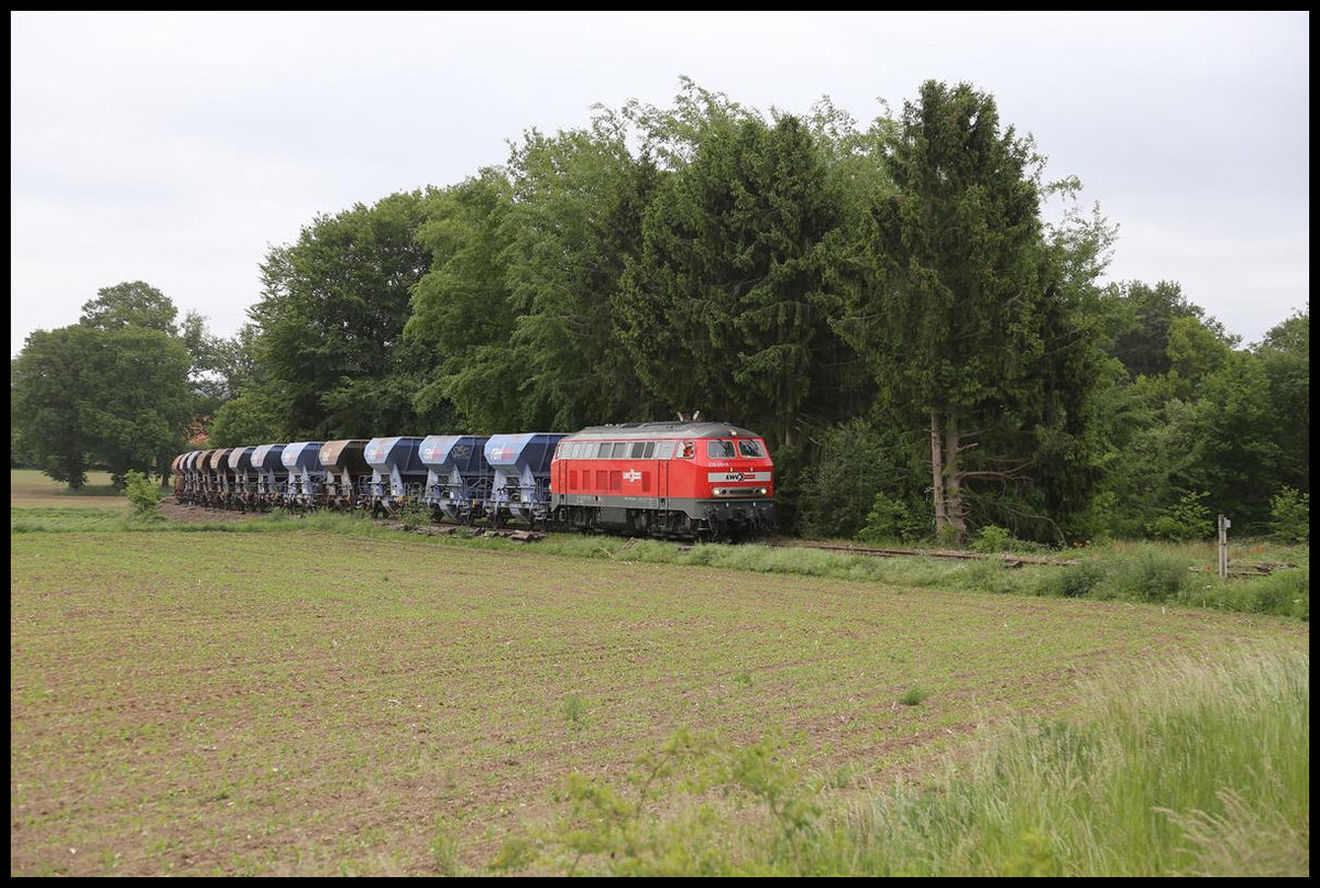 Am 25.05.2020 kam die 218451-3 der LWC mit einem Schotterzug von Gütersloh aus auf die Strecke der Teutoburger Wald Eisenbahn, um dort bei der Restauration der Strecke weiter Schienenbereiche ein zu schottern. Nach der Entladung fuhr der Zug weiter nach Lengerich, um von dort aus über die Rollbahn weiter nach Münster zu fahren.
Hier erreicht der Zug gerade den südlich von Glane gelegenen BÜ, welchen er nur im Schritt Tempo befahren konnte. Alle Bahnübergänge wurden übrigens zusätzlich durch mit PKW begleitendes Personal gesichert.