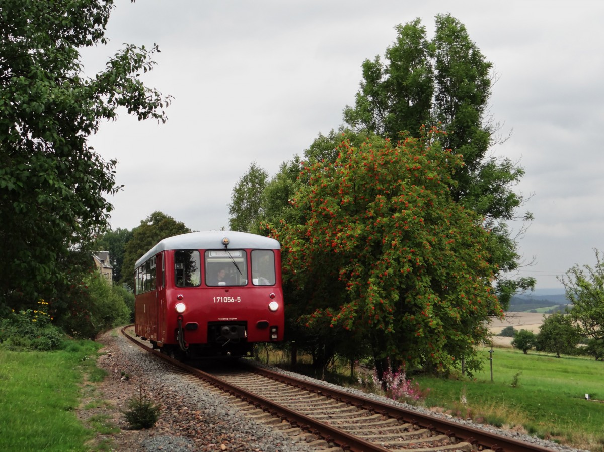 Am 25.08.13 fuhr das Ferkel (171 056-5) wieder von Adorf nach Muldenberg und zurck. Hier die Ausfahrt in Gunzen.