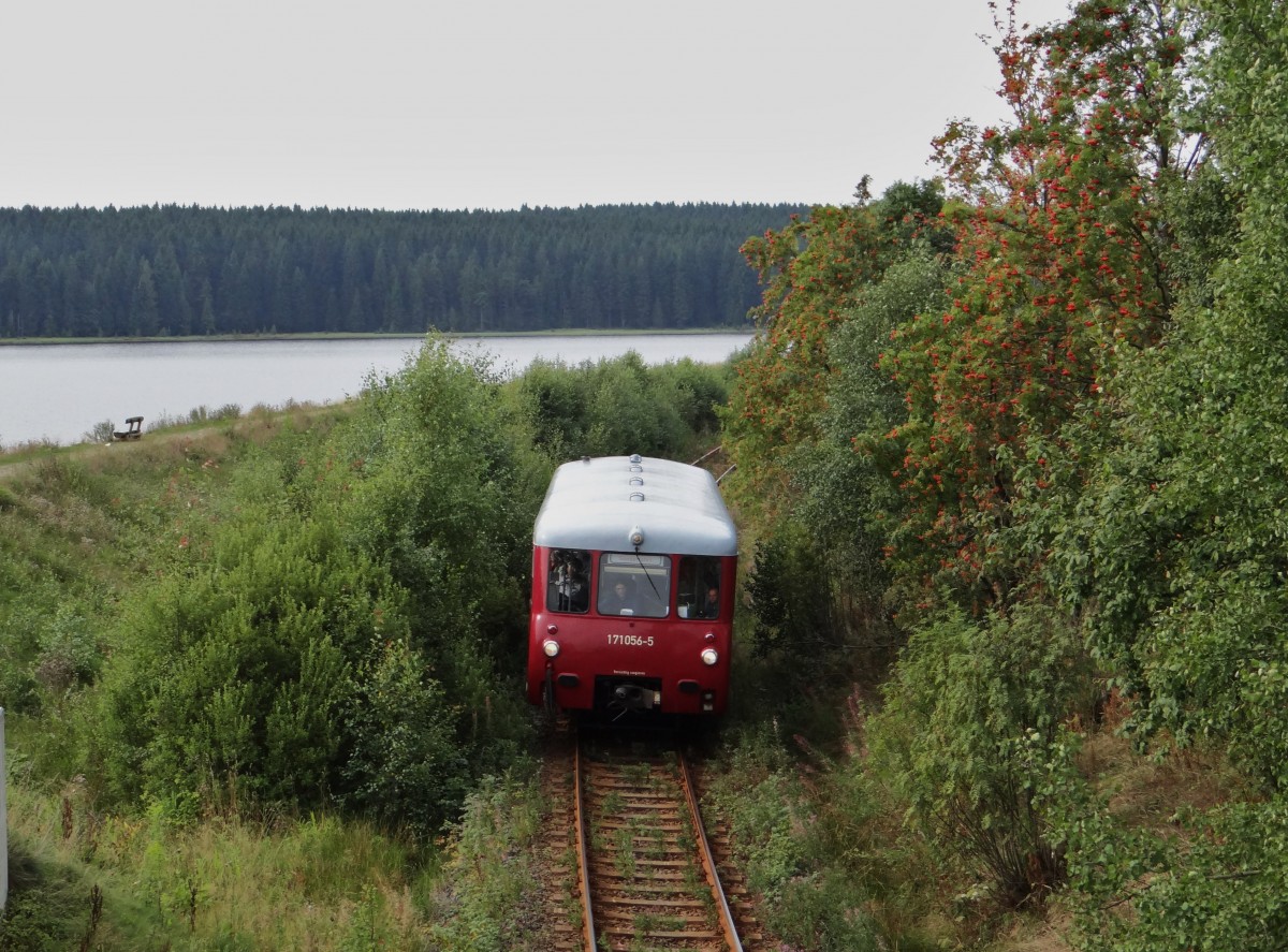 Am 25.08.13 fuhr das Ferkel (171 056-5) wieder von Adorf nach Muldenberg und zurck. Hier zusehen an der Talsperre Muldenberg.