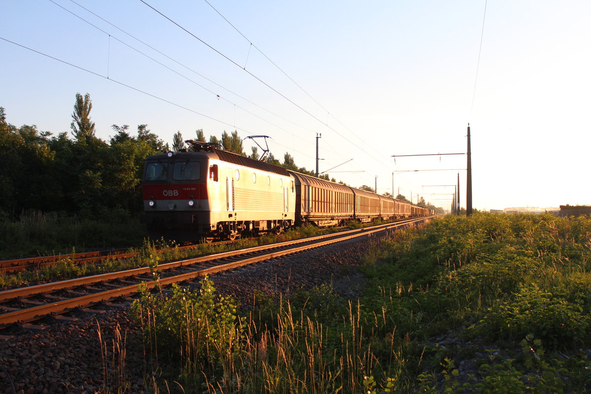 Am 26.6.2019 steht im Sonnenaufgang über den Weiten der Gegend um den Bahnhof Mitterndorf-Moosbrunn die 1144 124 mit dem G54505 am Weg von Wien Zvb nach Villach Süd Gvbf Einfahrgruppe.