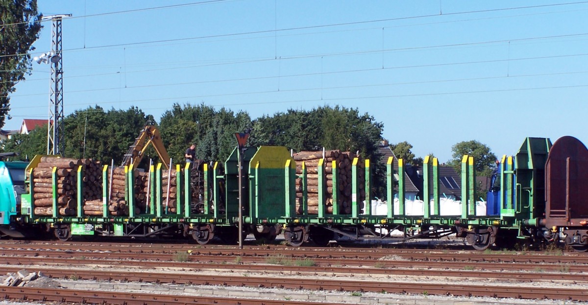 Am 26.8.2013 stand im Gterbahnhof von Oranienburg ein Gterzug zur Beladung mit Holz. Einen Teil des Zuges bildeten kurzgekuppelte Wagen vom  Typ Laaps 565, Eigentmer ist nach Wagenanschrift die VTG.