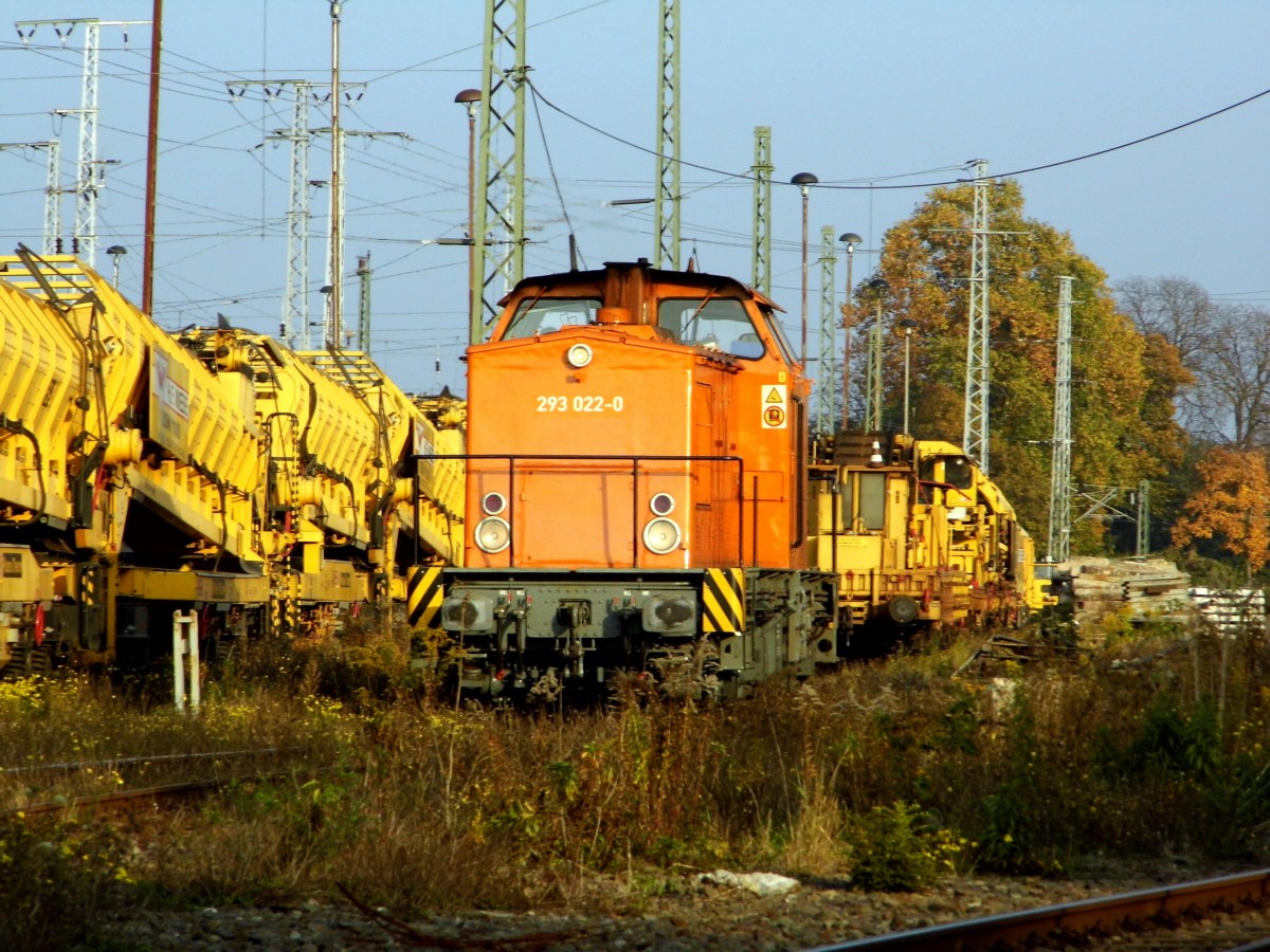 Am 27.10.2015 stand die 293 022-0 von der MTEG (Press) in Stendal .