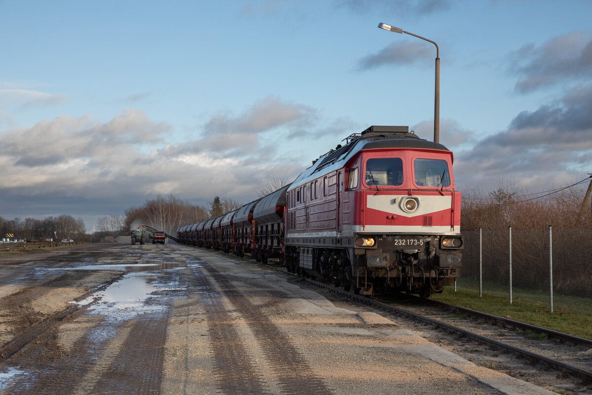 Am 27.12.2022 war die 232 173 der Triangula in Grimmen Anschluss Schützenplatz mit der Getreideentladung beschäftigt.
