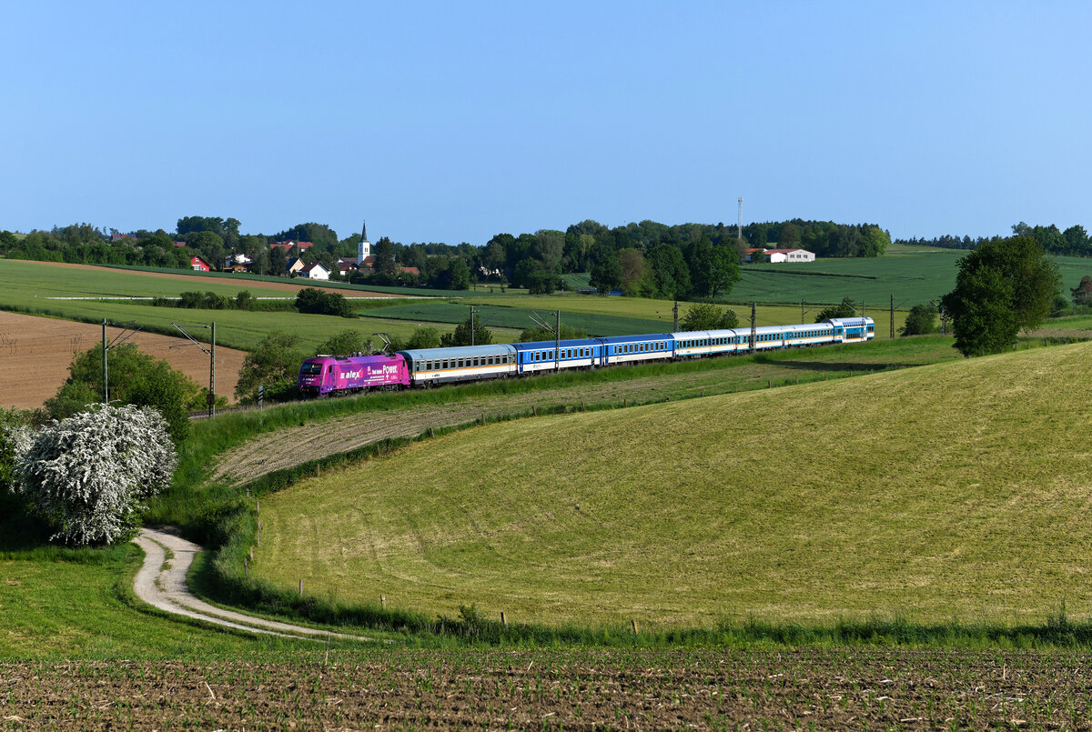 Am 28. Mai 2023 konnte ich die 183 005 vor dem ALX 79864 nach München HBF im tiefsten Niederbayern bei Berghausen aufnehmen. Im Hintergrund erkennt man die Ortschaft Ascholtshausen mit der Kirche Mariä Himmelfahrt. Die Lok mit ihrer auffälligen pink-lilafarbenen Folierung hob sich gut von der spätfrühlingshaften Landschaft ab. Noch verkehren die lokbespannten Alex-Züge mit dem bunt gewürfelten Wagenmaterial im Zwei-Stunden-Takt auf dieser Strecke. Ab Fahrplanwechsel wird DB Regio einen Großteil dieser Leistungen übernehmen. 