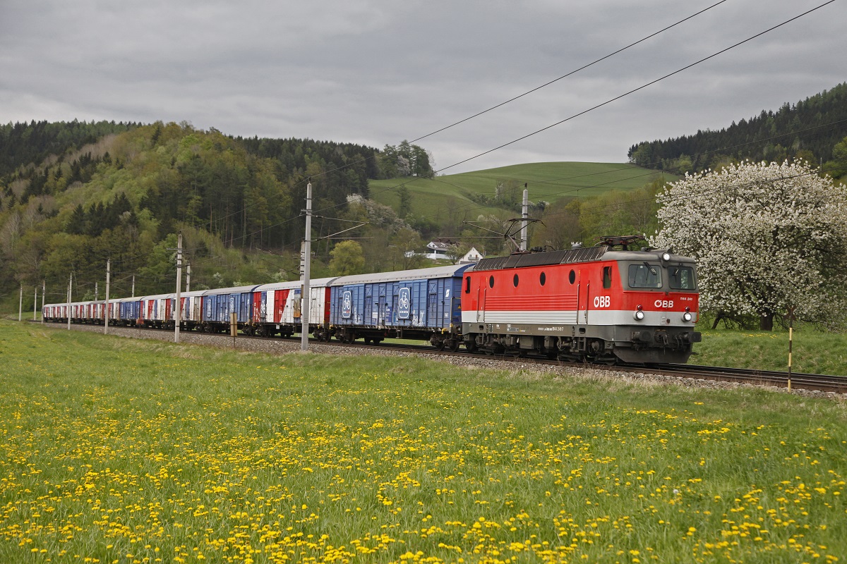 Am 28.04.2015 wurden zwölf Fahrradtransportwagen von Jedlersdorf nach Lienz als Sondergüterzug 97304 überstellt. Der Zug war mit der 1144 241 bespannt und ist hier bei Niklasdorf zu sehen.