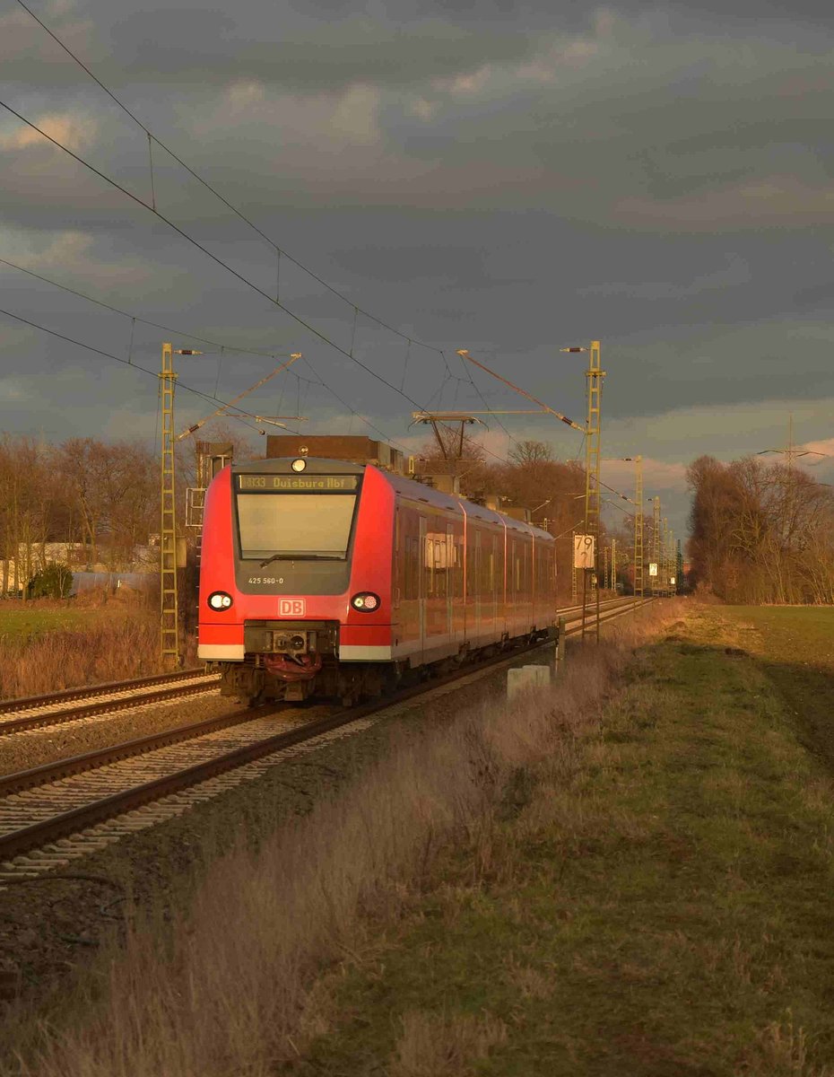 Am 29.1.2017 ist der 425 560 als RB 33 nach Duisburg Hbf zwischen Anrath und Forst unterwegs.
