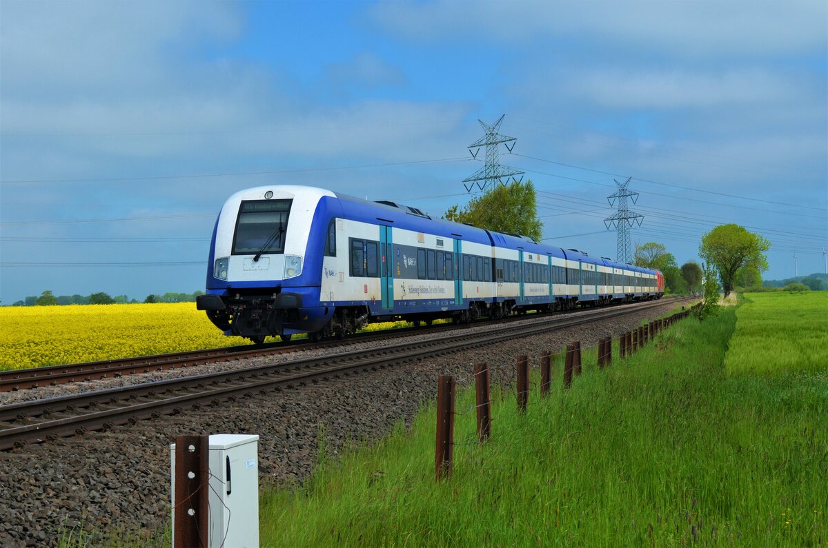 Am 30.05.21 fuhr eine Married Pair Garnitur von Westerland (Sylt) nach Hamburg-Altona.
245 010 schob den Zug, der als RE6 (RE 11017) unterwegs war. Das Foto entstand in Wilster am BÜ Hove.