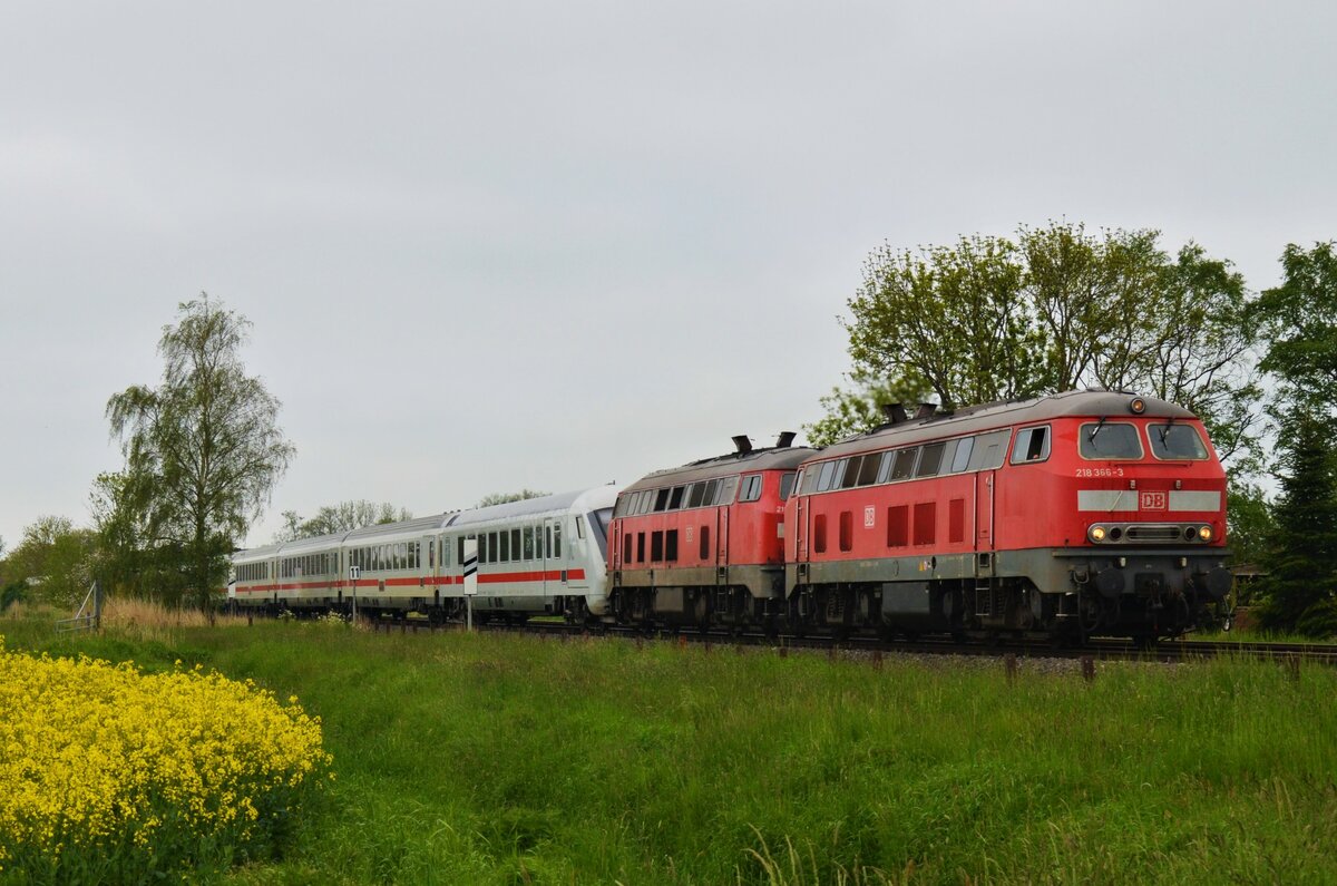 Am 30.05.21 waren 218 366-3 und eine weitere 218 am IC 2214 nach Westerland (Sylt) bespannt.
Hier zu sehen bei Wilster beim BÜ Hove.