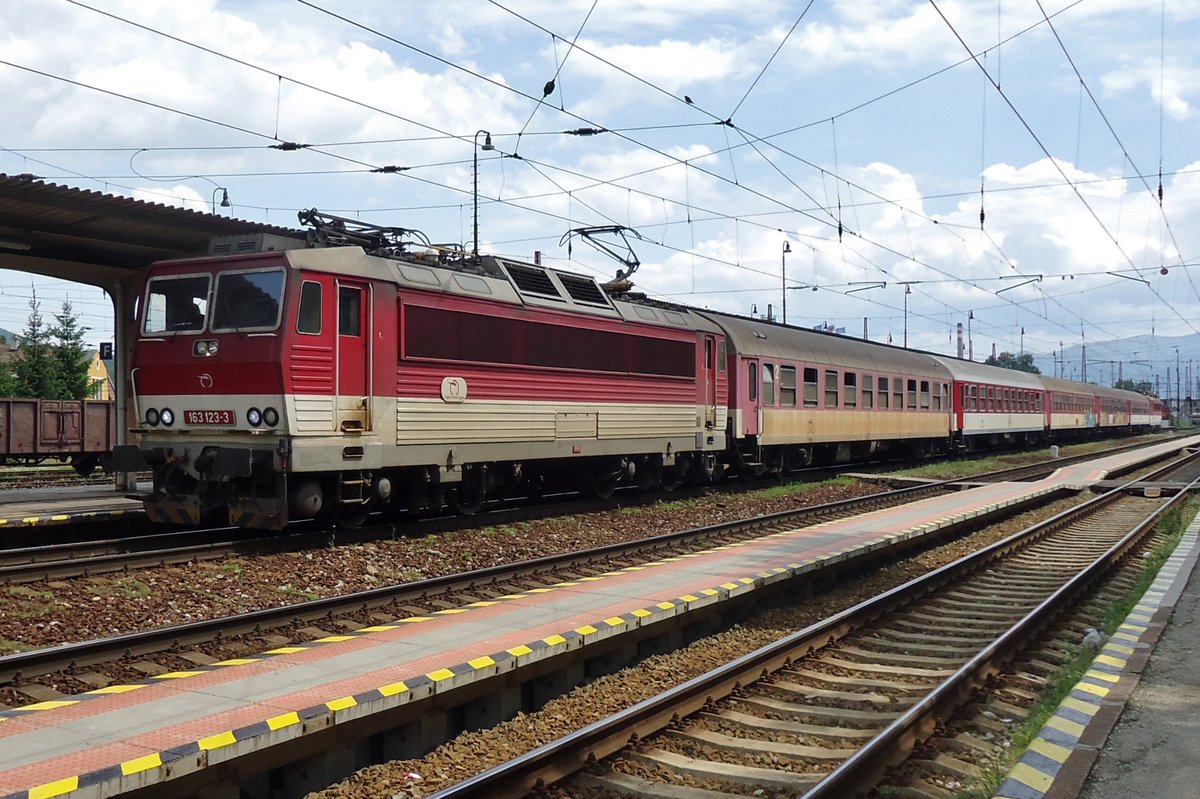 Am 31 Mai 2015 hält 163 123 mit ein Rychlyk in Vrutky.
