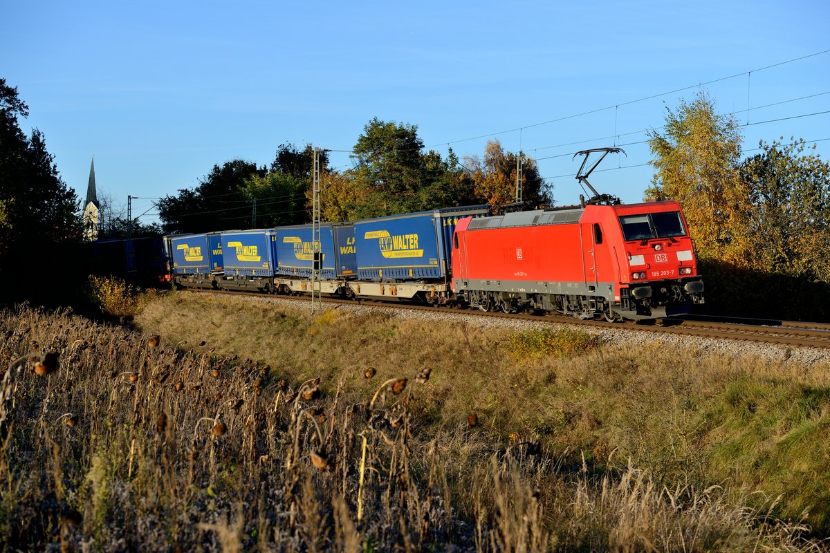 Am 31. Oktober 2016 brachte 185 203 den KLV-Zug KT 50791 südwärts und konnte bei Fahlenbach in der herbstlichen Hallertau fotografiert werden.